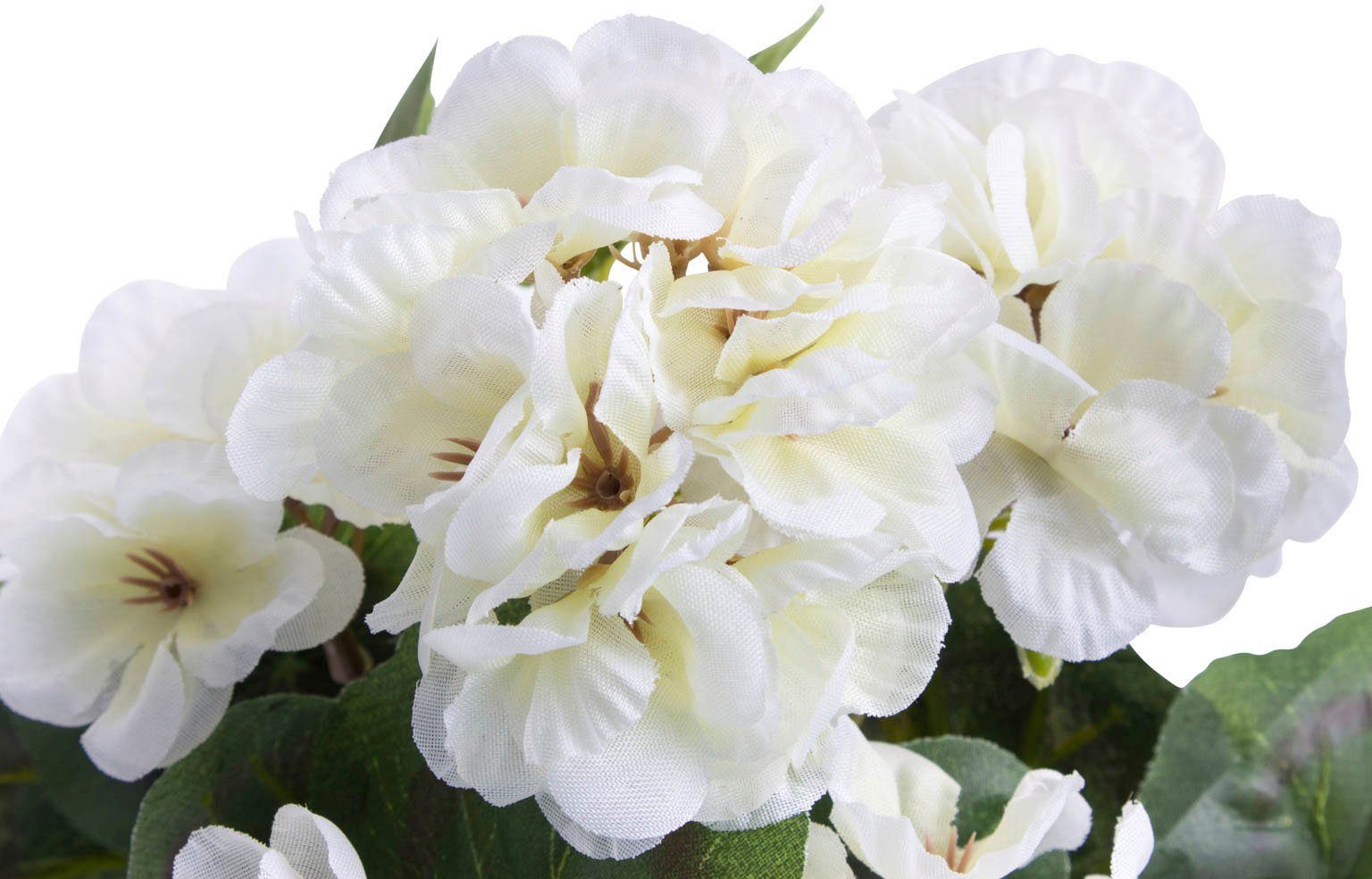 Botanic-Haus Kunstbloem Geranium met 6 stelen (1 stuk)