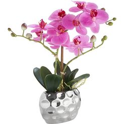 leonique kunstplant orchidee kunstorchidee, in een pot (1 stuk) paars