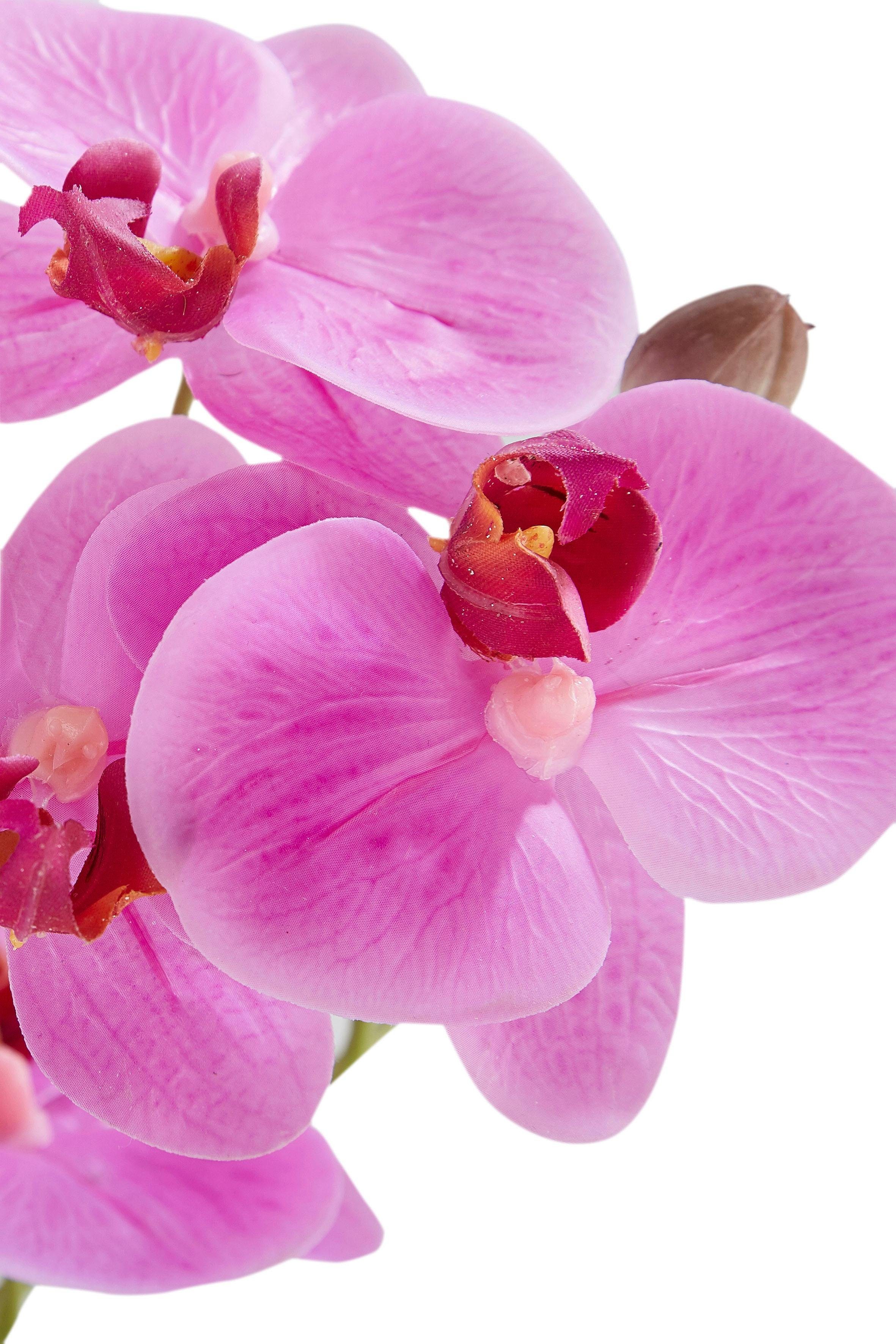 Leonique Kunstplant Orchidee Kunstorchidee, in pot, bestseller, meer dan 2500 4,5-sterren beoordelingen (1 stuk)
