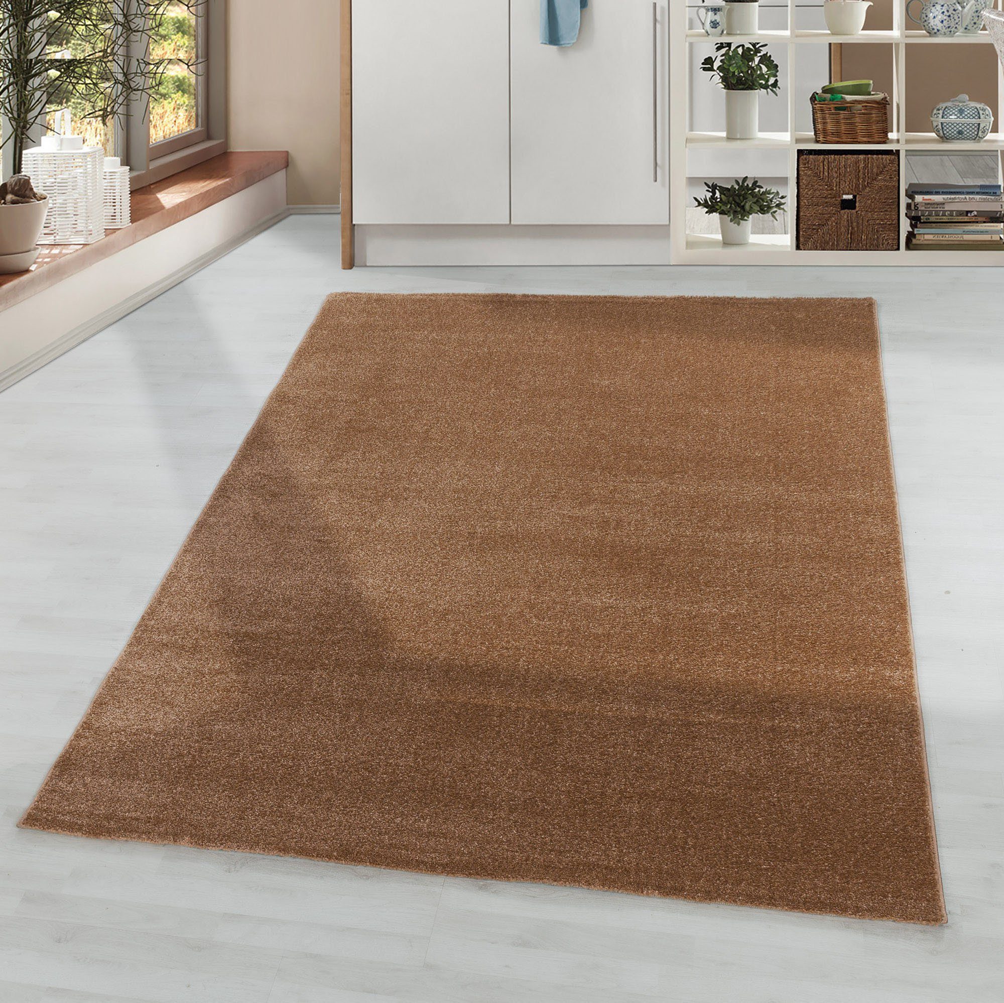 Ayyildiz Teppiche Vloerkleed RIO 4600 moderne vloerkleden maat 80 cm x 150 cm x 8 mm bruin