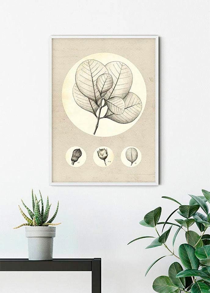 Komar Wanddecoratie Transparant Leaf Wanddecoratie - zonder lijst (1 stuk)