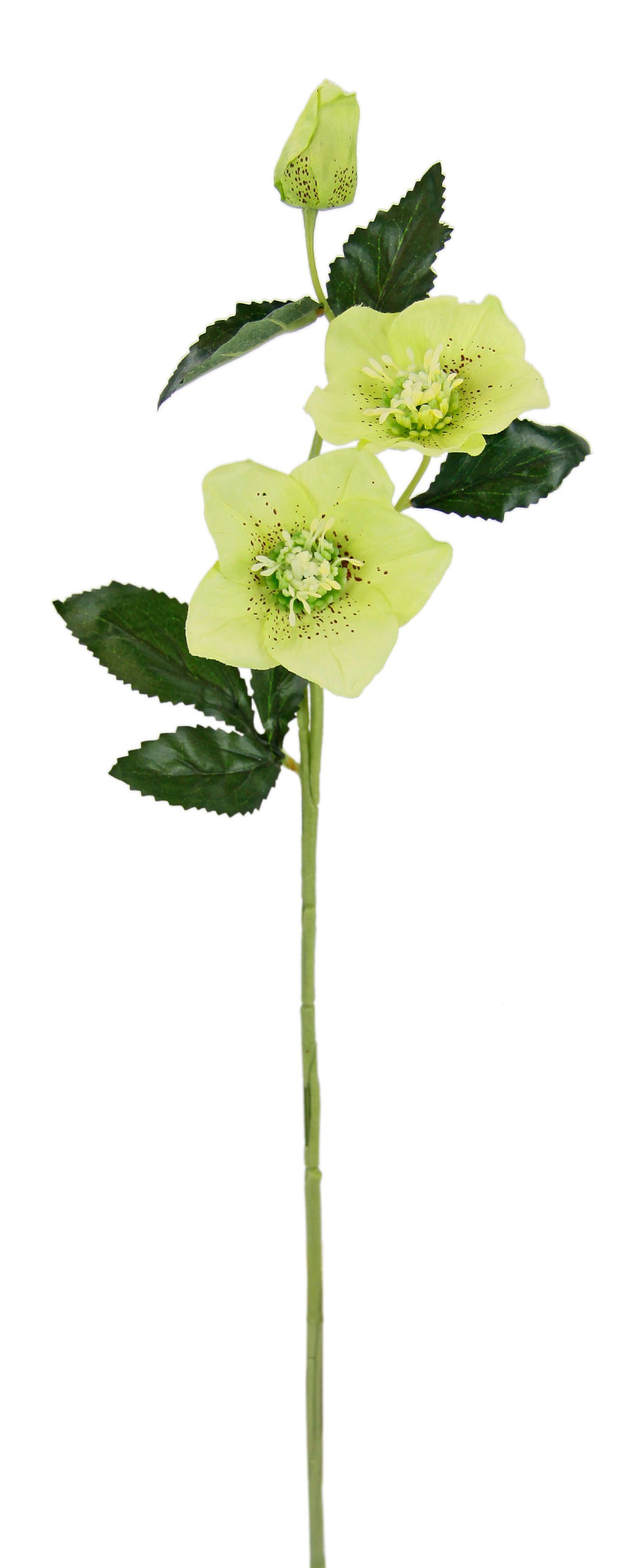 I.GE.A. Kunstbloem Kerstroos Kunstmatige zijden bloemen, 5-delige set (5 stuks)