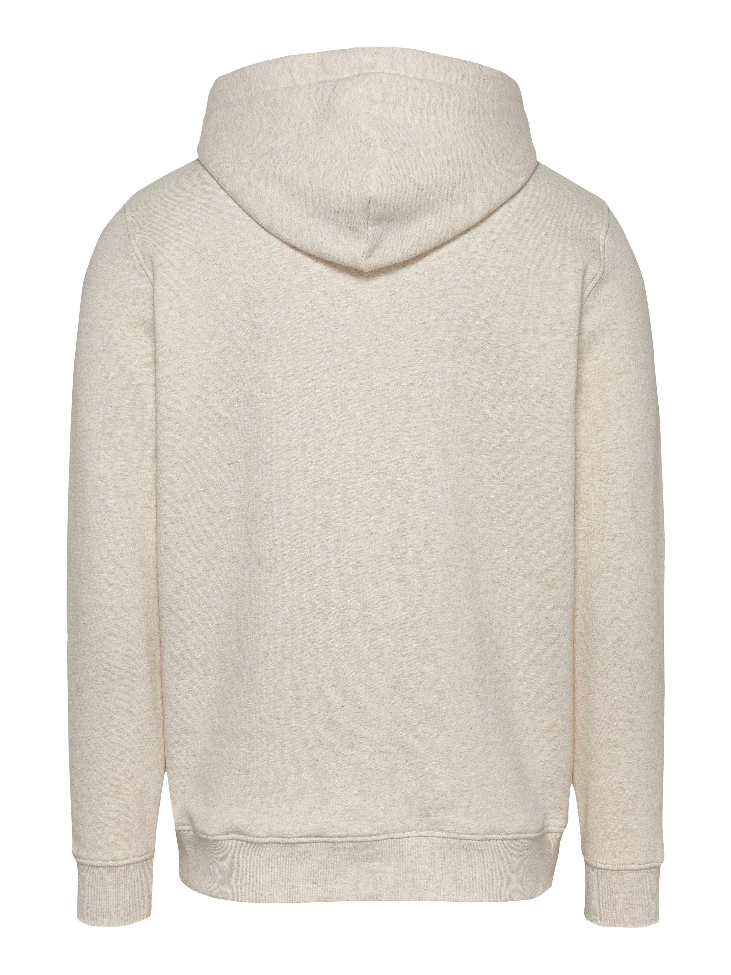 TOMMY JEANS Sweatshirt TJM REG ESSENTIAL FLAG HOOD EXT met bedrukte merklogo op borsthoogte