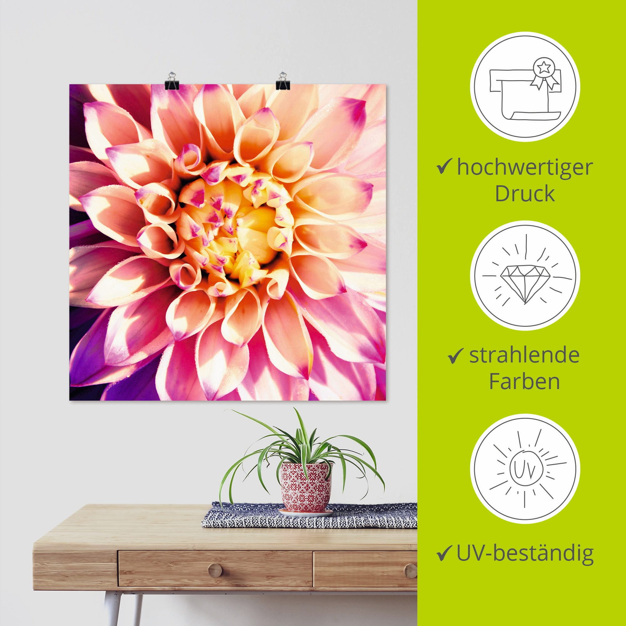 Artland Artprint Dahlia als artprint op linnen, poster in verschillende formaten maten