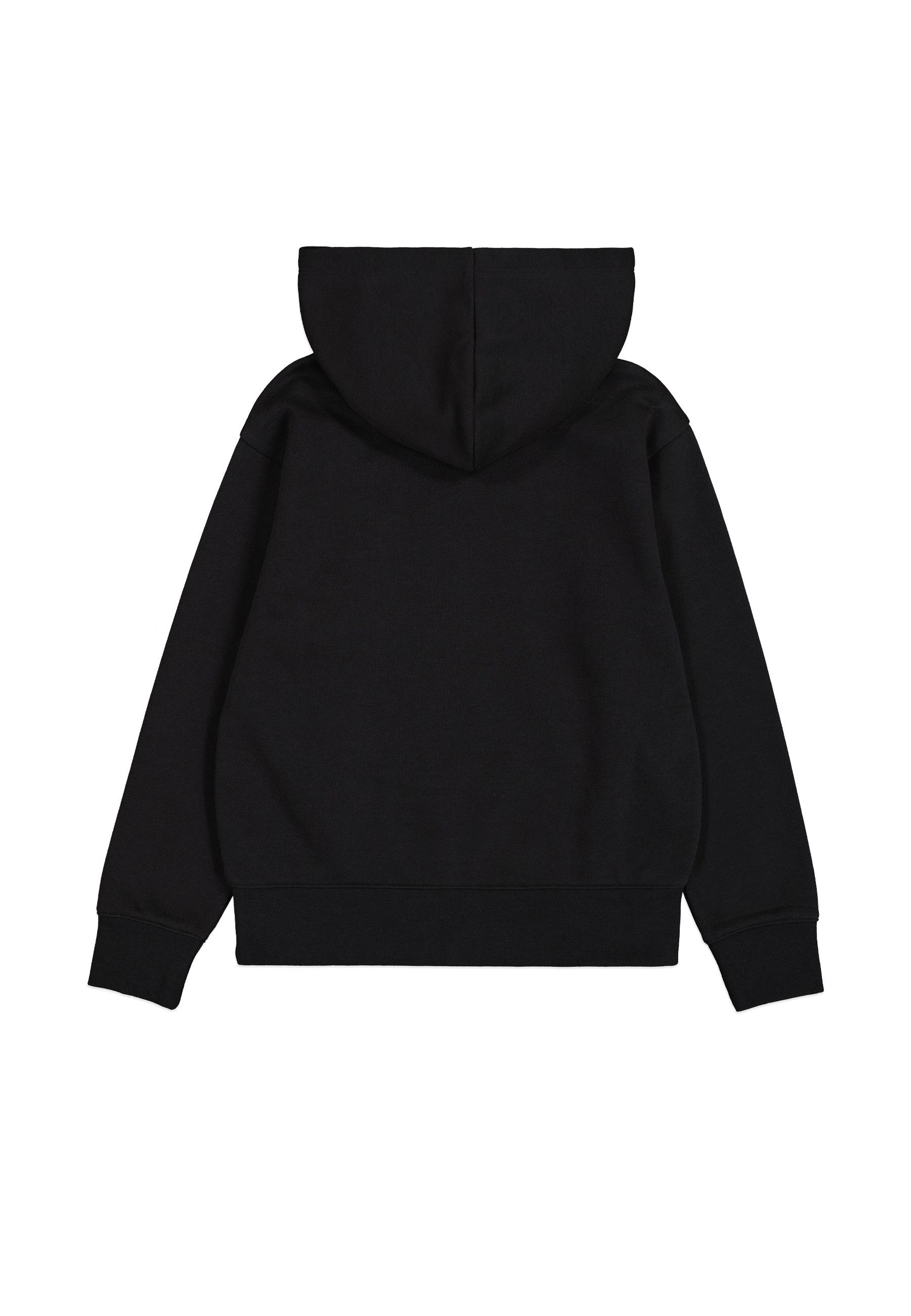 Champion Hoodie HOODED sweatshirt