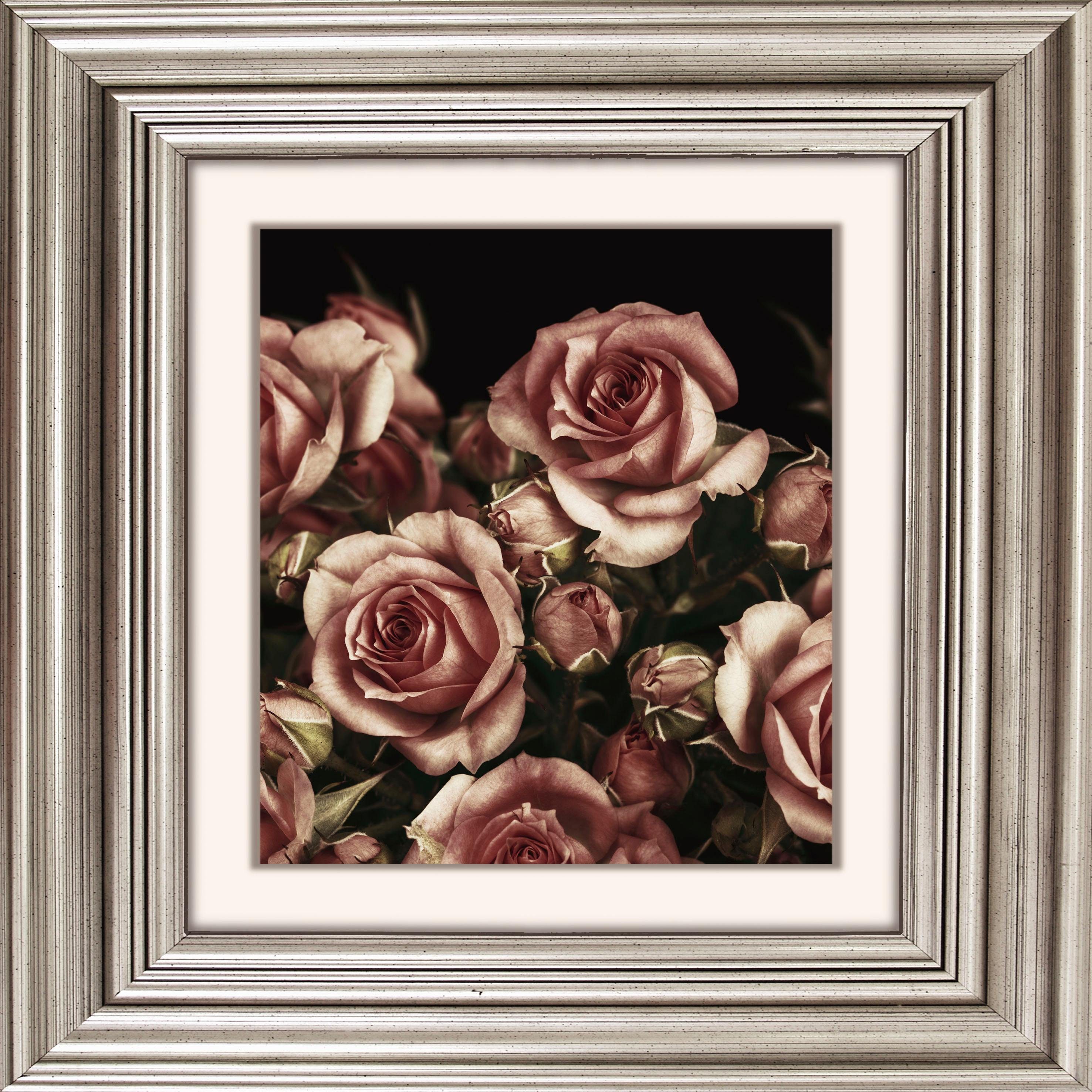 queence Artprint op acrylglas Rozen bloemen Fine Art-print in galeriekwaliteit foto schilderijen multicolor