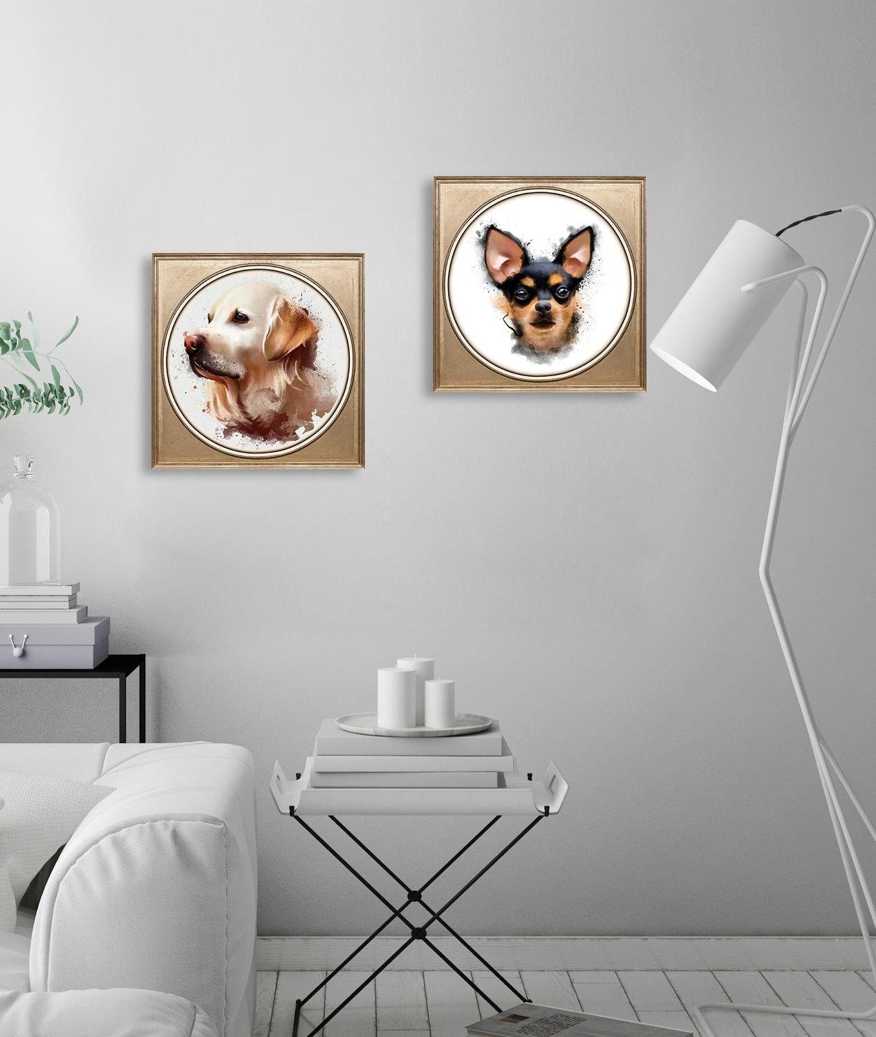 queence Artprint op acrylglas Chihuahua Fine Art-print in galeriekwaliteit