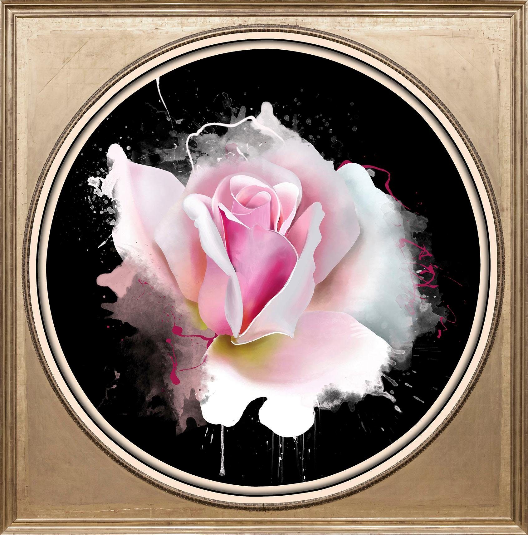 queence Artprint op acrylglas Roze roos