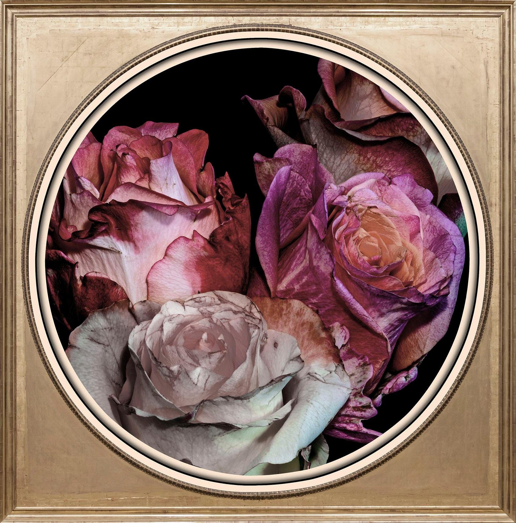 queence Artprint op acrylglas Gedroogde rozen