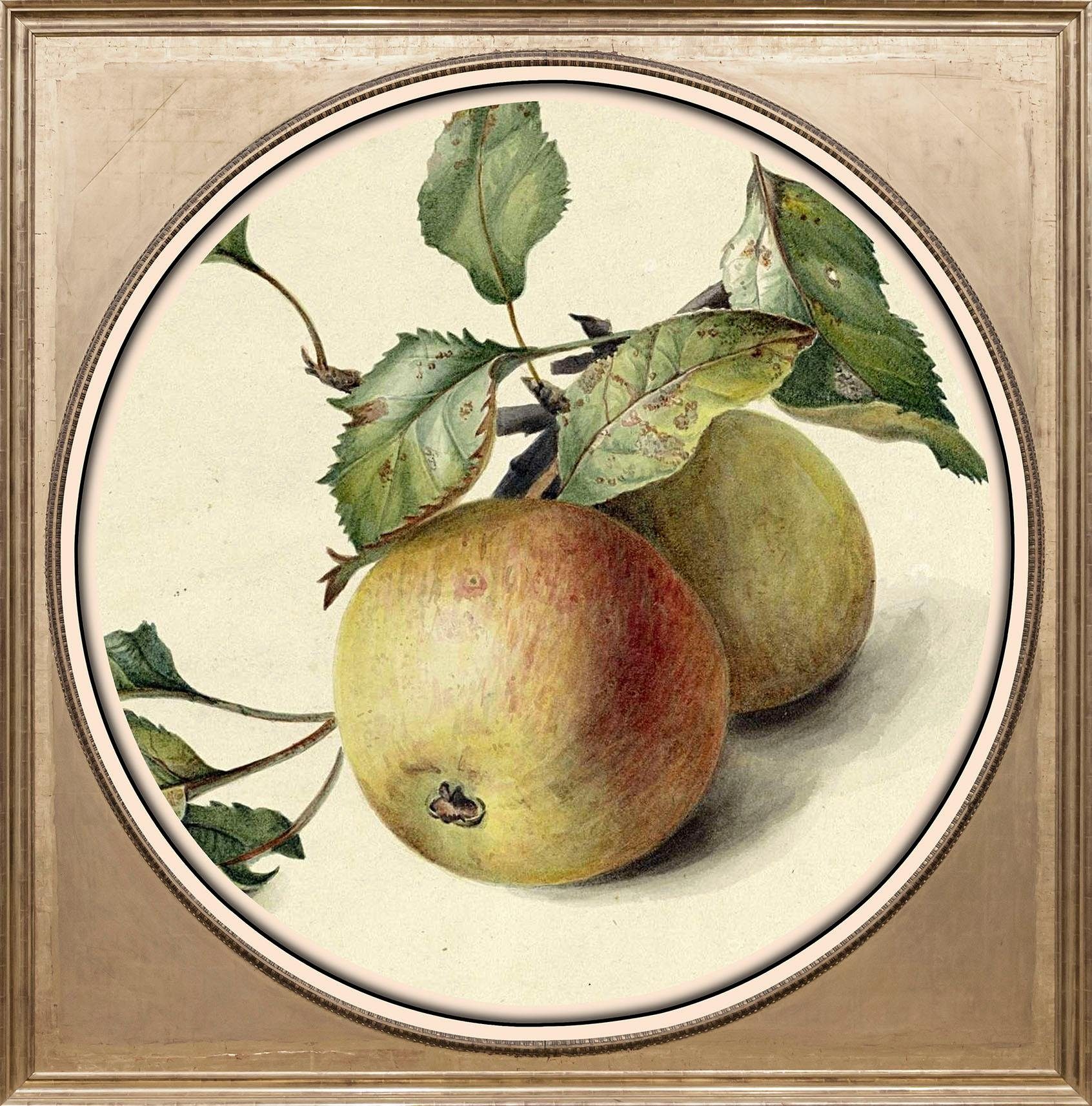 queence Artprint op acrylglas Appels