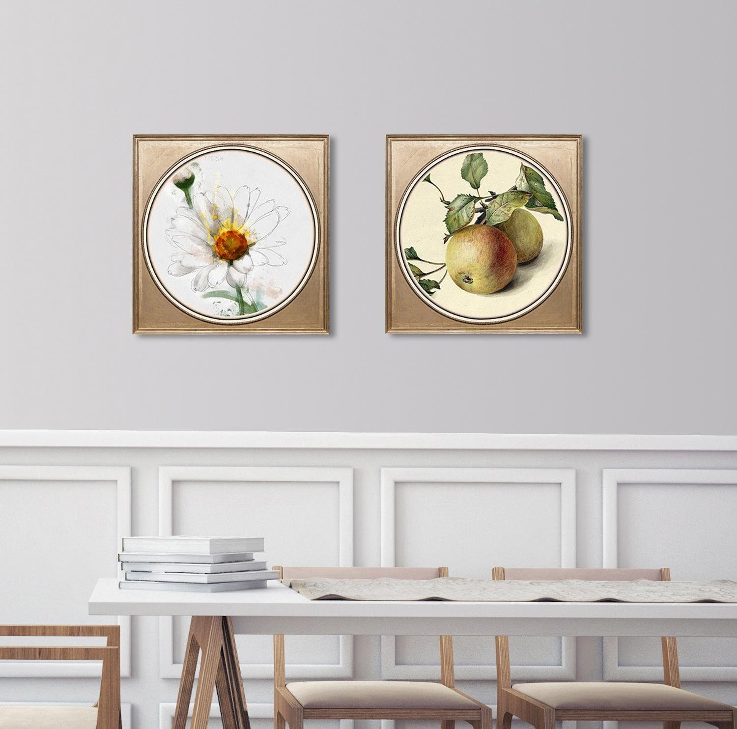 queence Artprint op acrylglas Witte bloem Fine Art-print in galeriekwaliteit