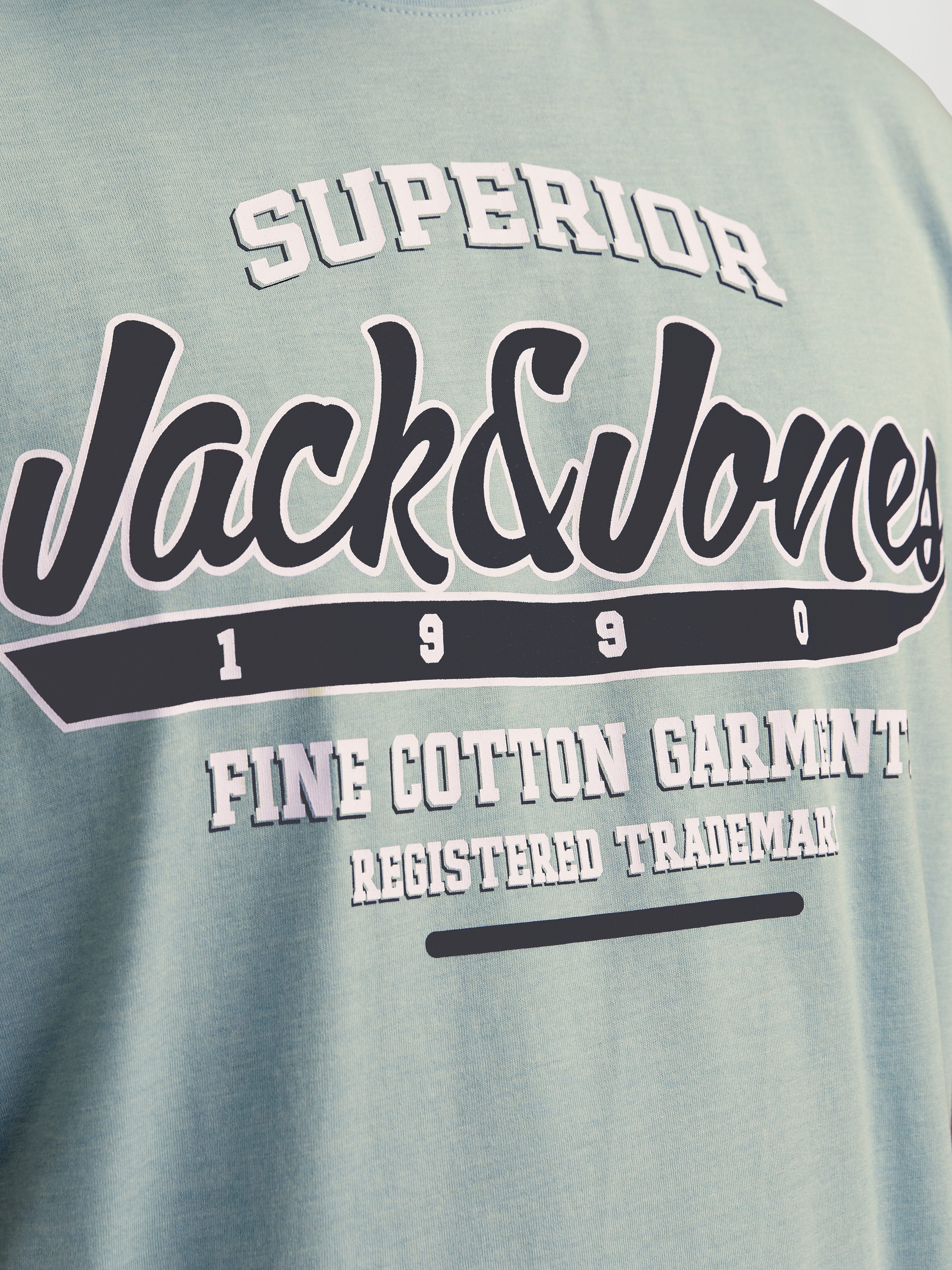 Jack & Jones PlusSize T-shirt JJELOGO TEE SS O-NECK 2 COL AW24 S PLS