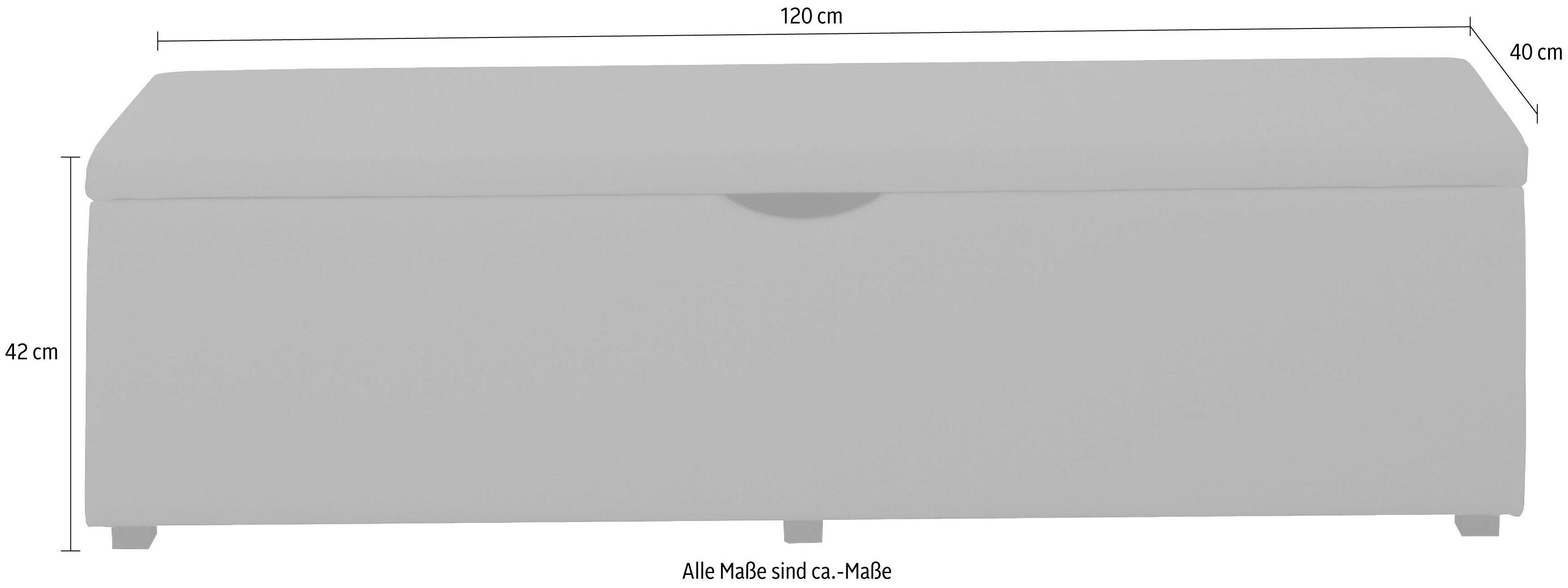 Places of Style Hockerbank Standaard Breedte 120 cm of 160 cm, ook als garderobebank of bedbank