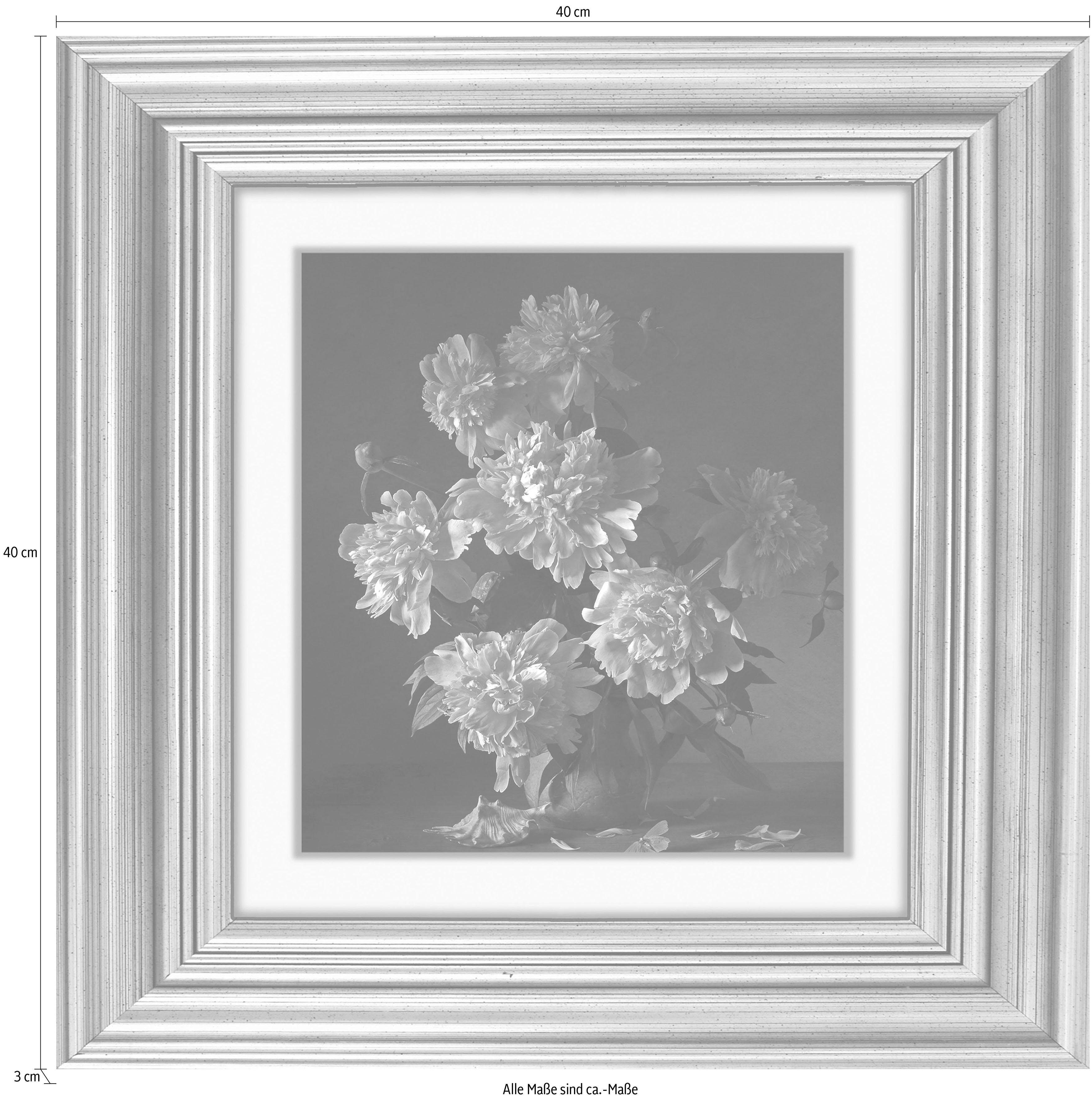 queence Artprint op acrylglas Roze Bloemen Fine Art-print in galeriekwaliteit