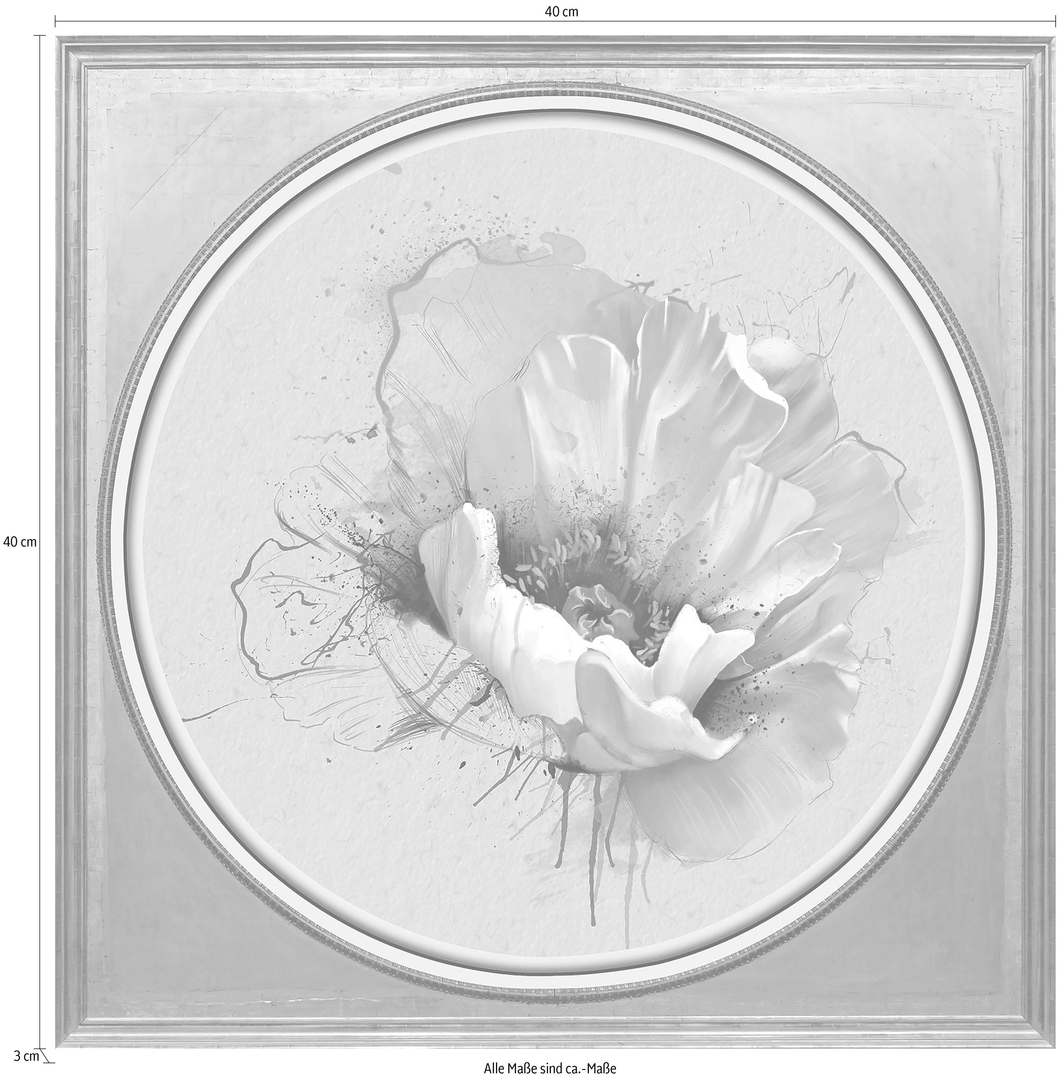 queence Artprint op acrylglas Witte bloem Fine Art-print in galeriekwaliteit