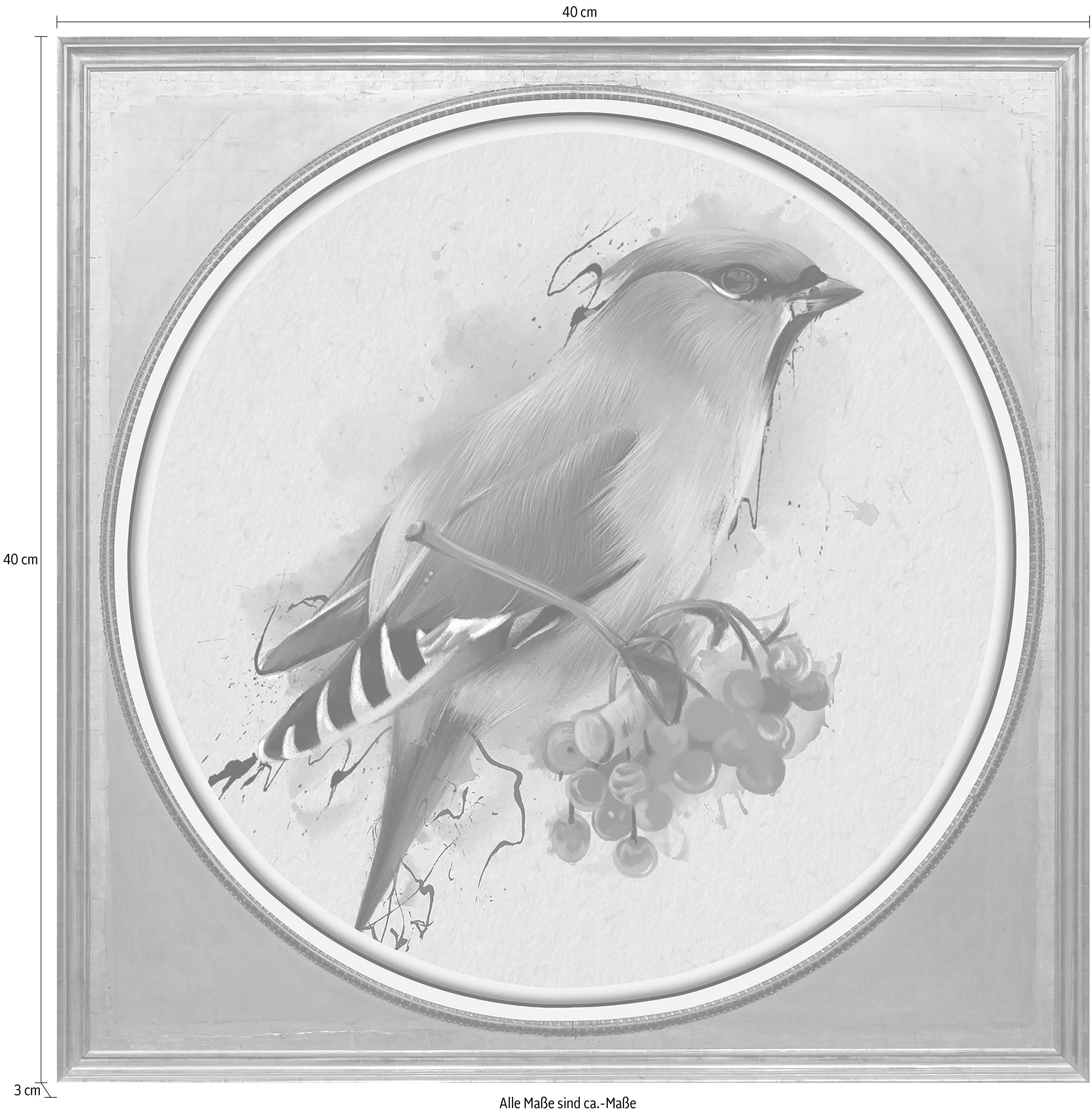 queence Artprint op acrylglas Veelkleurige vogel I Fine Art-print in galeriekwaliteit