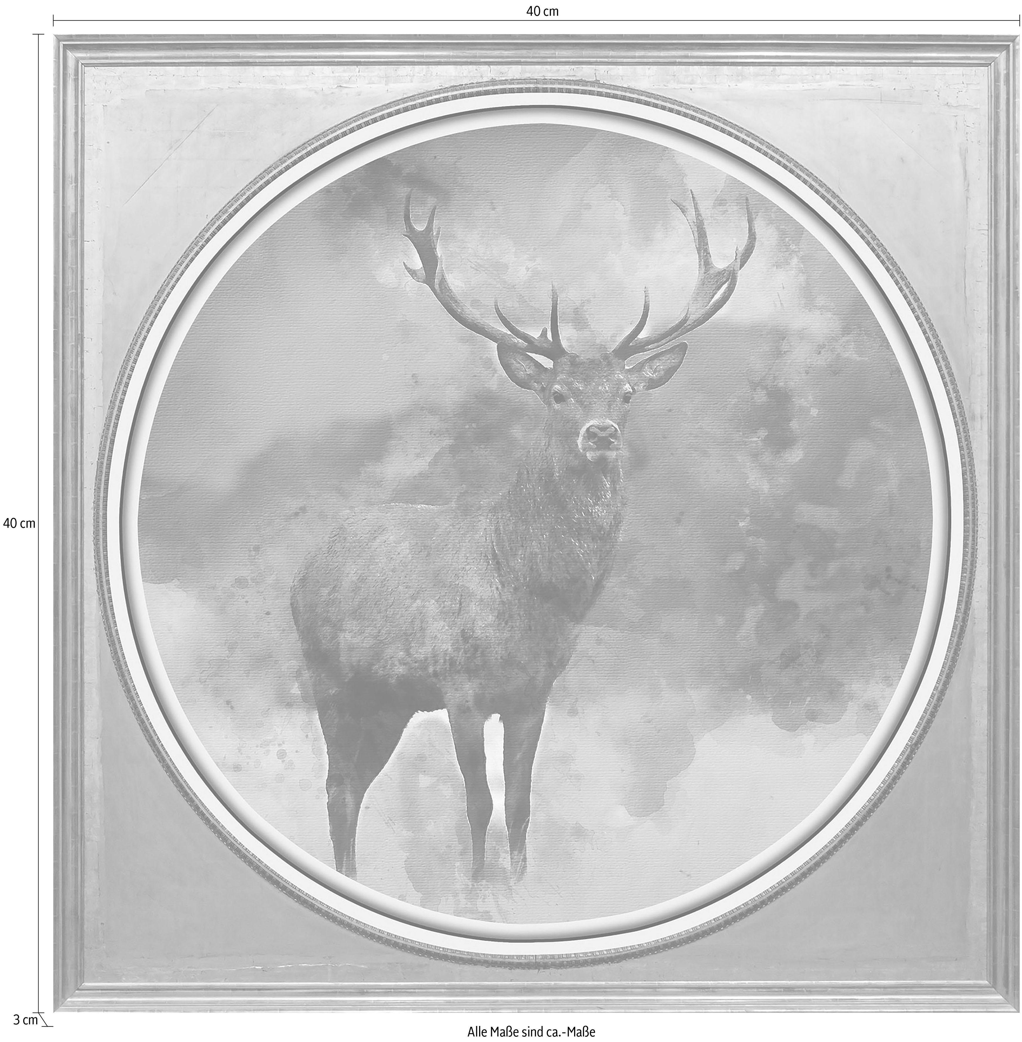 queence Artprint op acrylglas Edelhert Fine Art-print in galeriekwaliteit