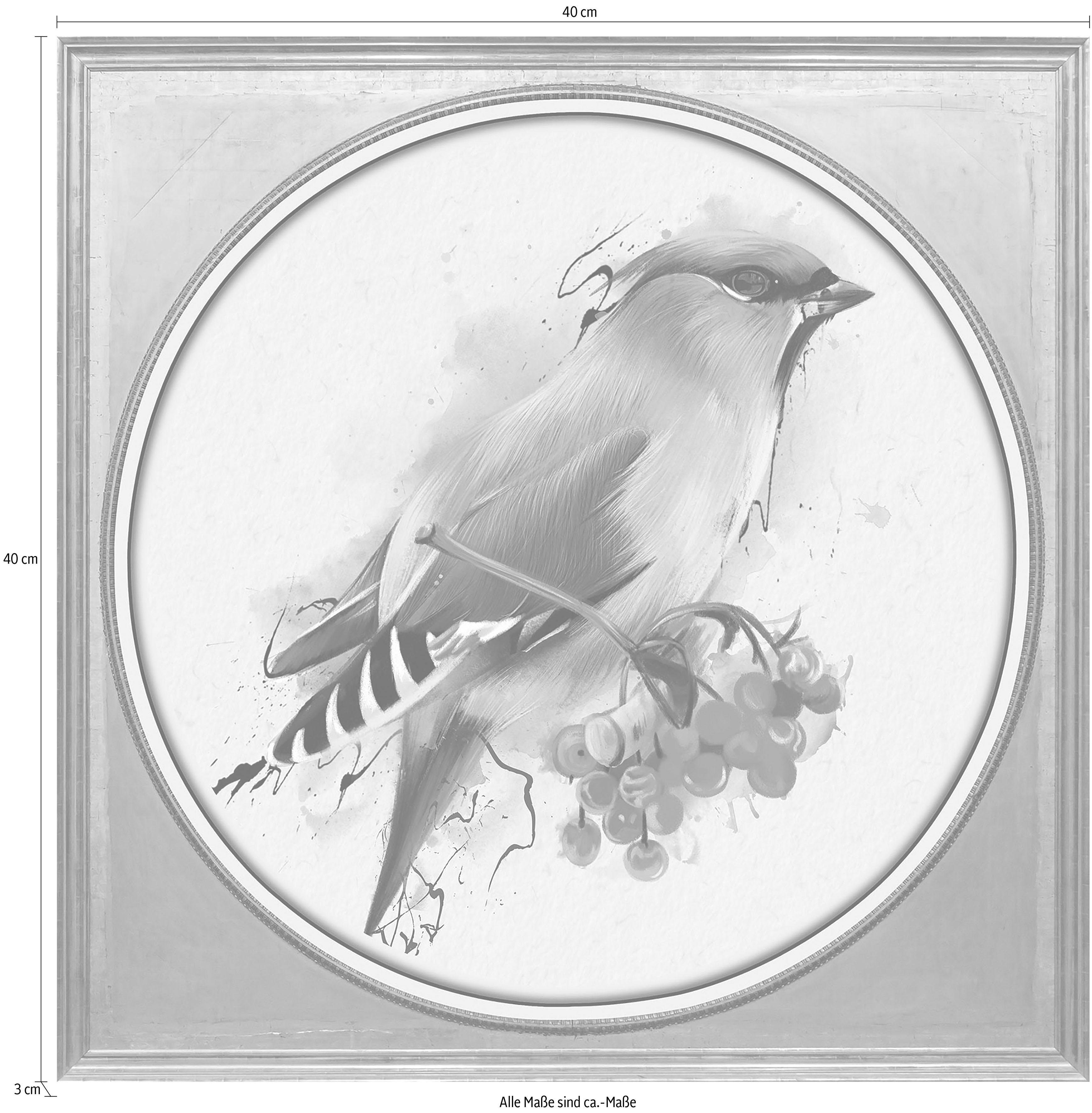 queence Artprint op acrylglas Veelkleurige vogel II Fine Art-print in galeriekwaliteit