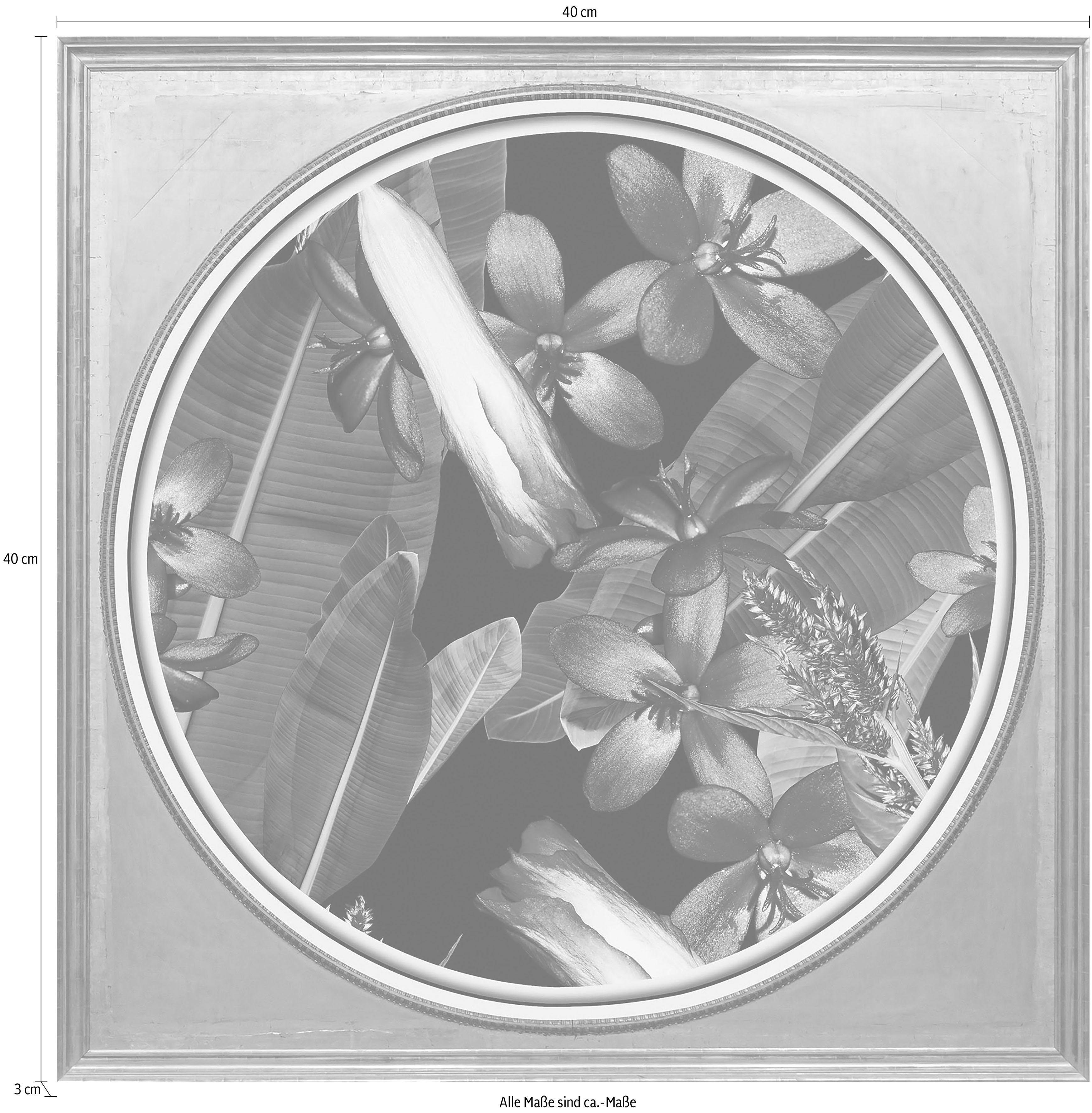 queence Artprint op acrylglas Tropische bloemen Fine Art-print in galeriekwaliteit
