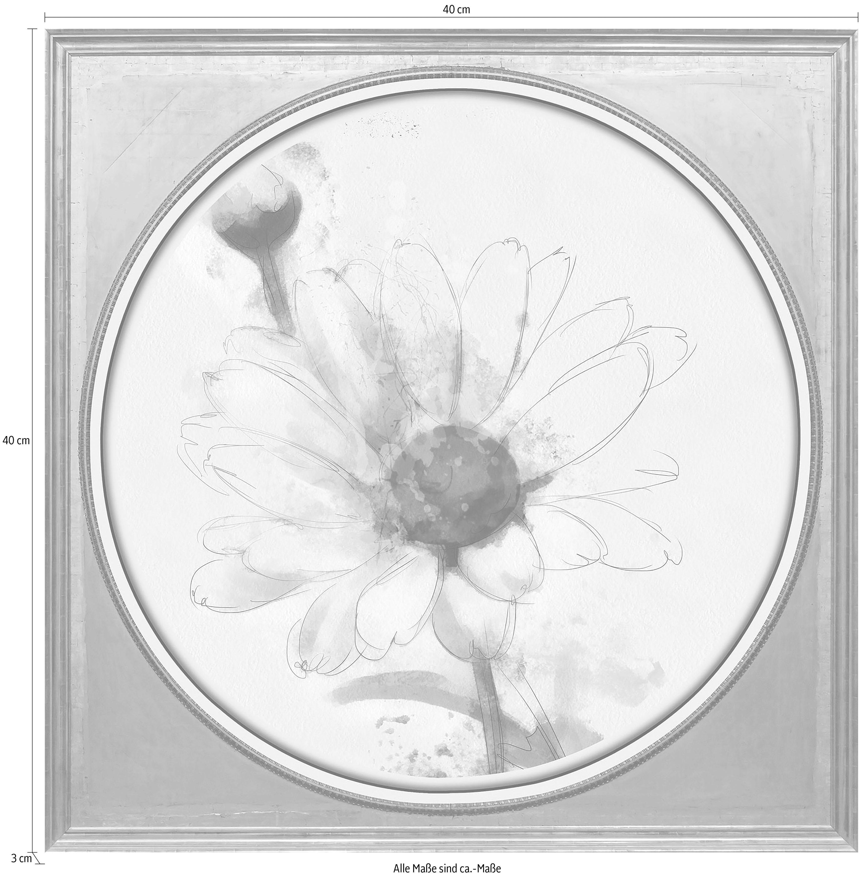 queence Artprint op acrylglas Witte bloem Fine Art-print in galeriekwaliteit