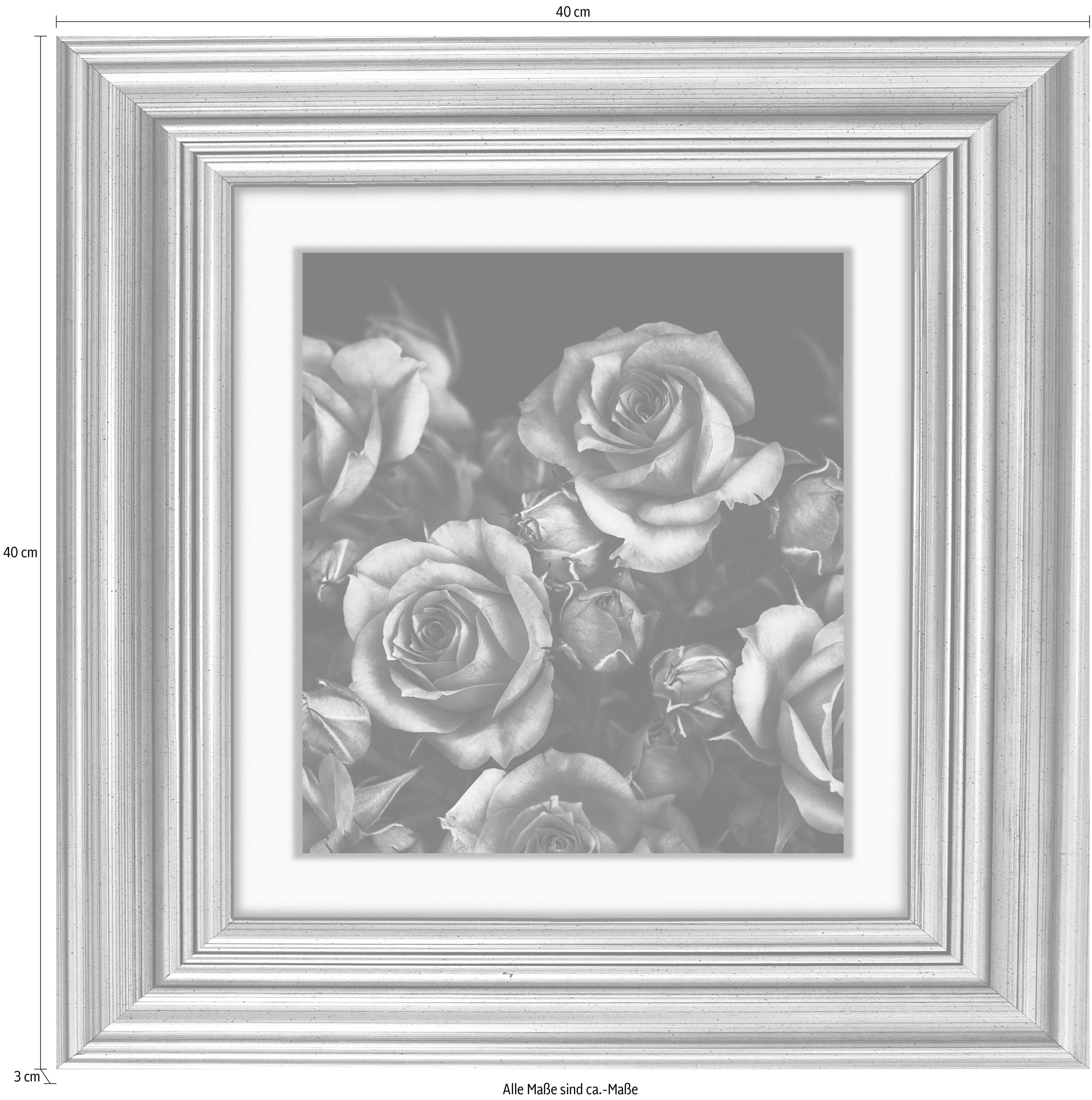 queence Artprint op acrylglas Rozen bloemen Fine Art-print in galeriekwaliteit