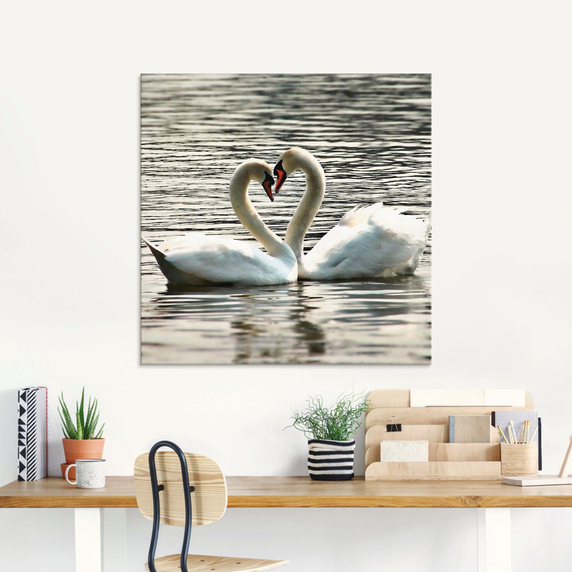 Artland Print op glas Liefdesspel van zwanen