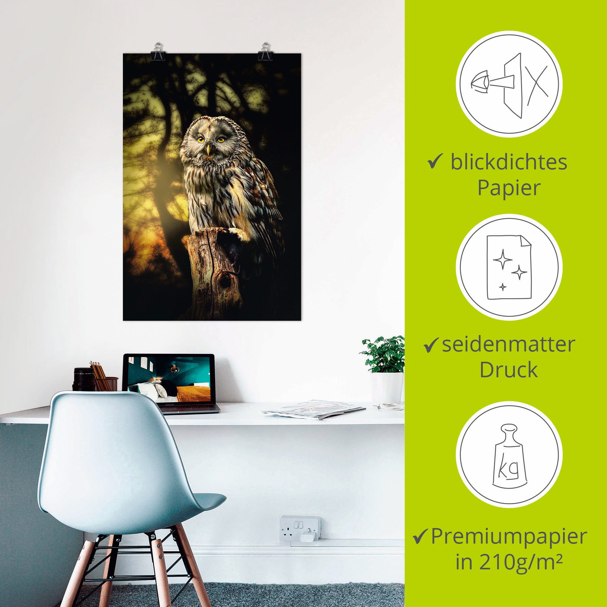 Artland Artprint Uil als artprint van aluminium, artprint voor buiten, artprint op linnen, poster in verschillende maten. maten