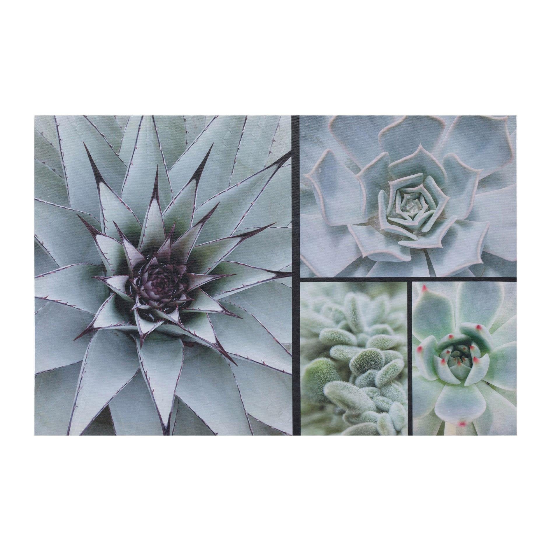 Creativ home Artprint op linnen Cactus