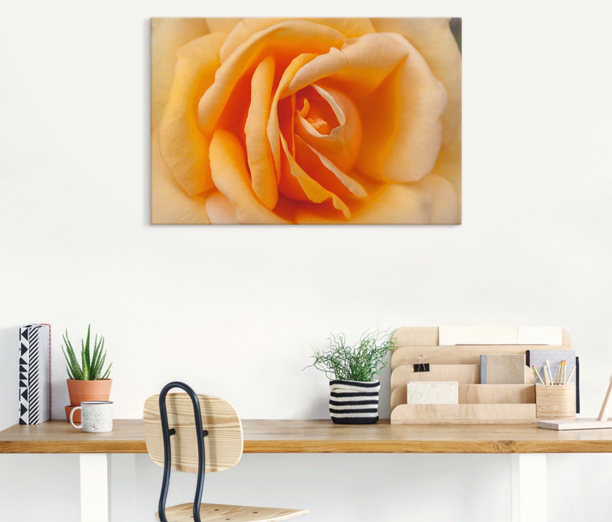 Artland Artprint Fijne roos in oranje als artprint op linnen, poster in verschillende formaten maten