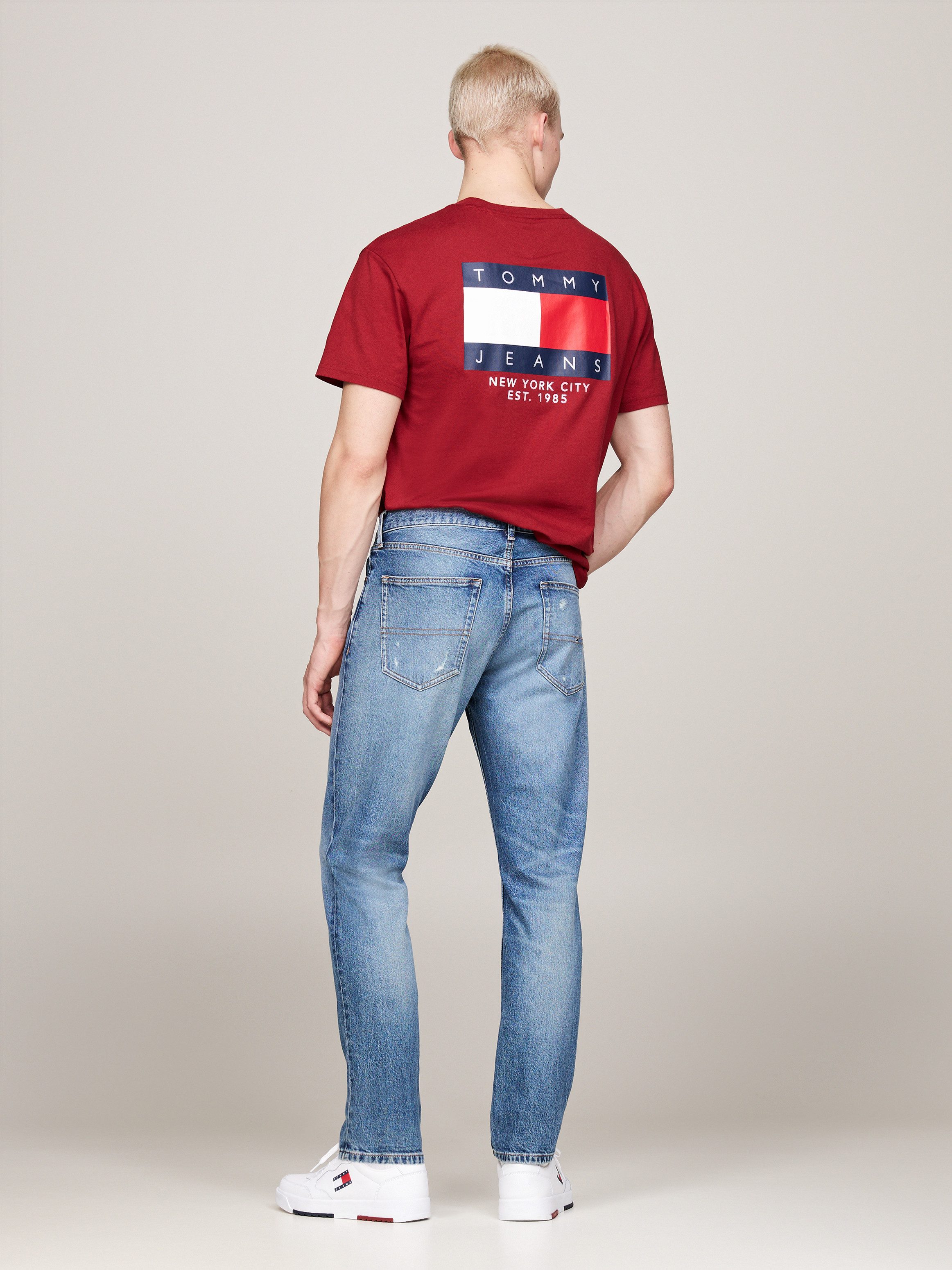 TOMMY JEANS Destroyed jeans AUSTIN SLIM TPRD DH6135