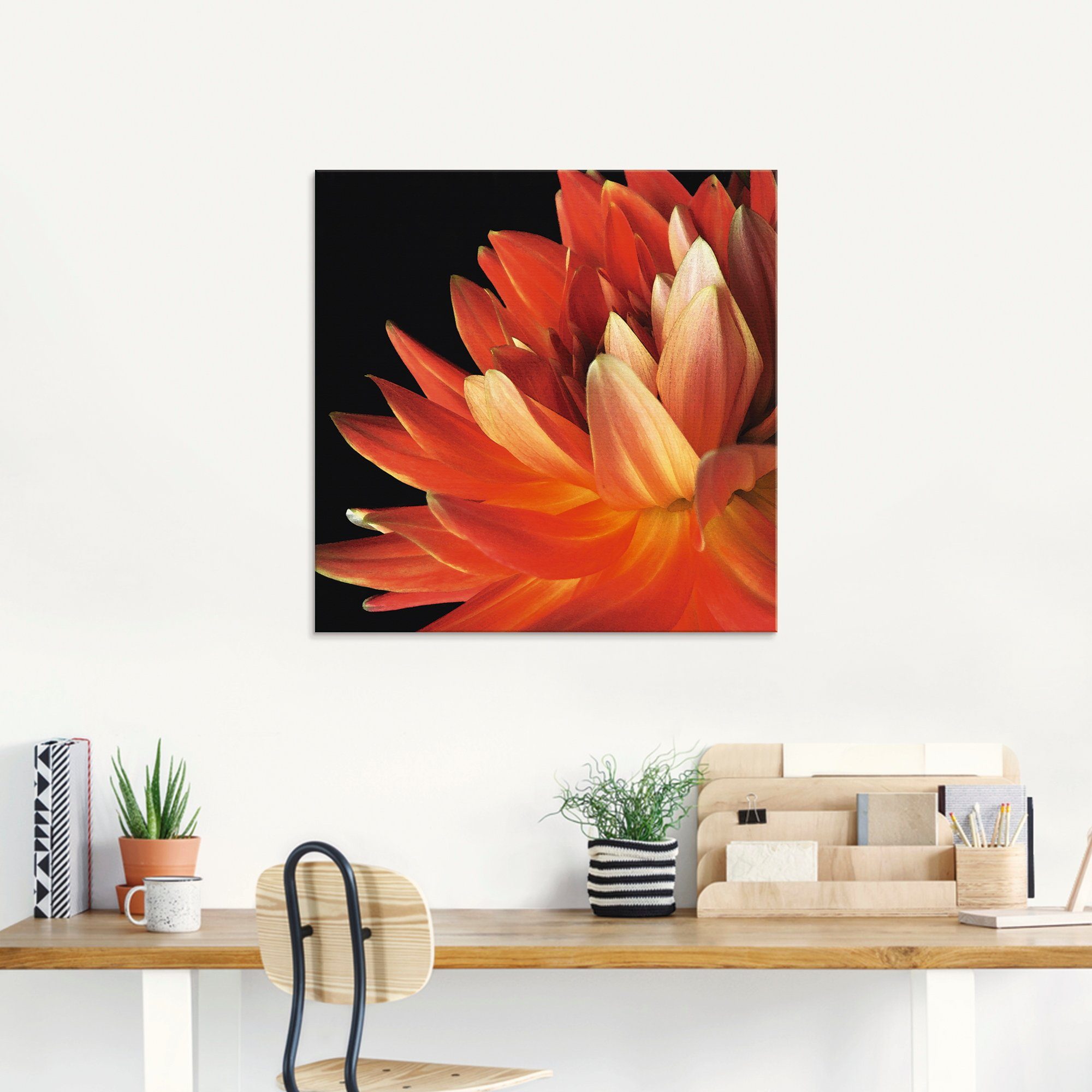 Artland Print op glas Rode dahlia in verschillende maten