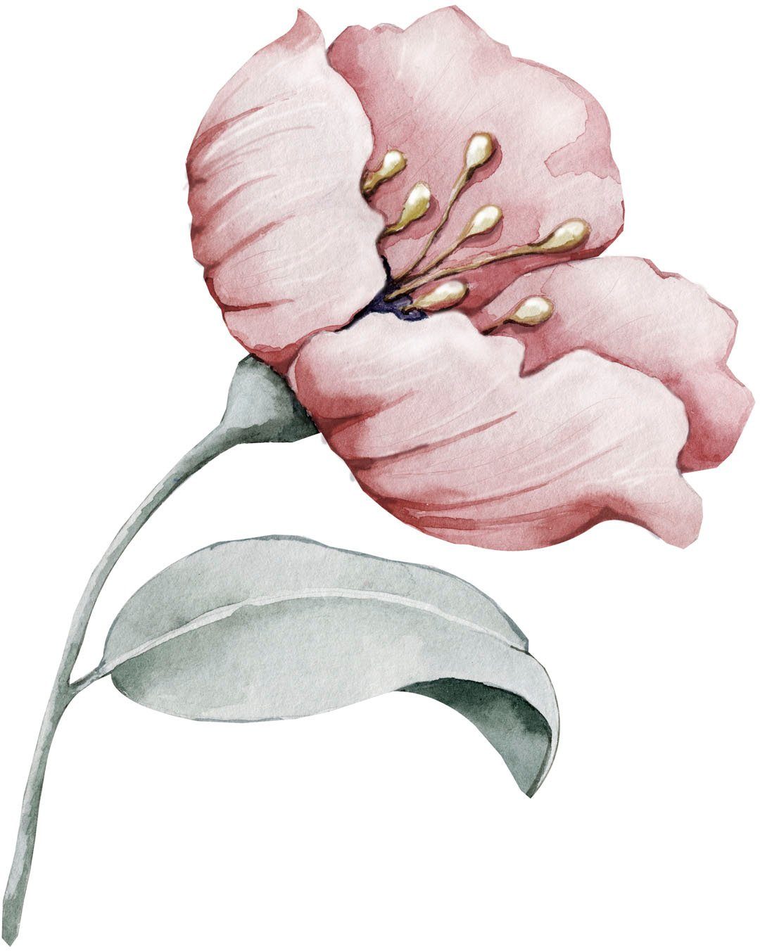 queence Wandfolie Annie Muurdecoratie, sticker, roze, bloem, bloei, zelfklevend, pastelkleuren (1 stuk) wandstickers maat 80 cm x 80 cm roze