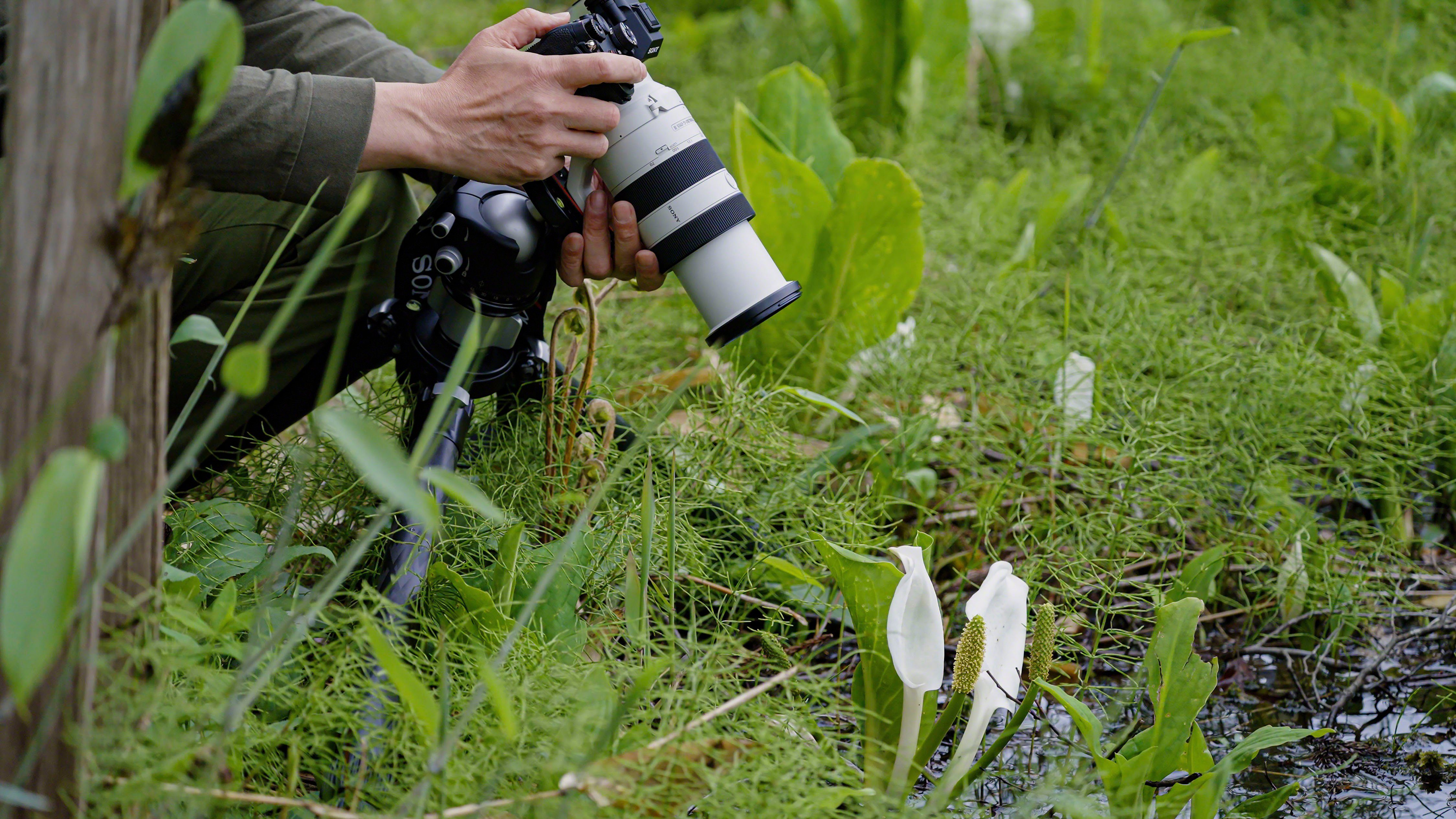Sony Objectief FE 70–200 mm F4 Makro G OSS Ⅱ