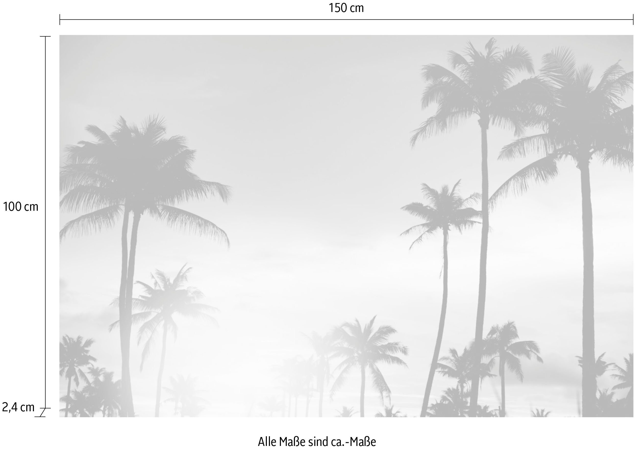 queence Artprint op acrylglas Palmen bij zonsondergang Fine Art-print in galeriekwaliteit