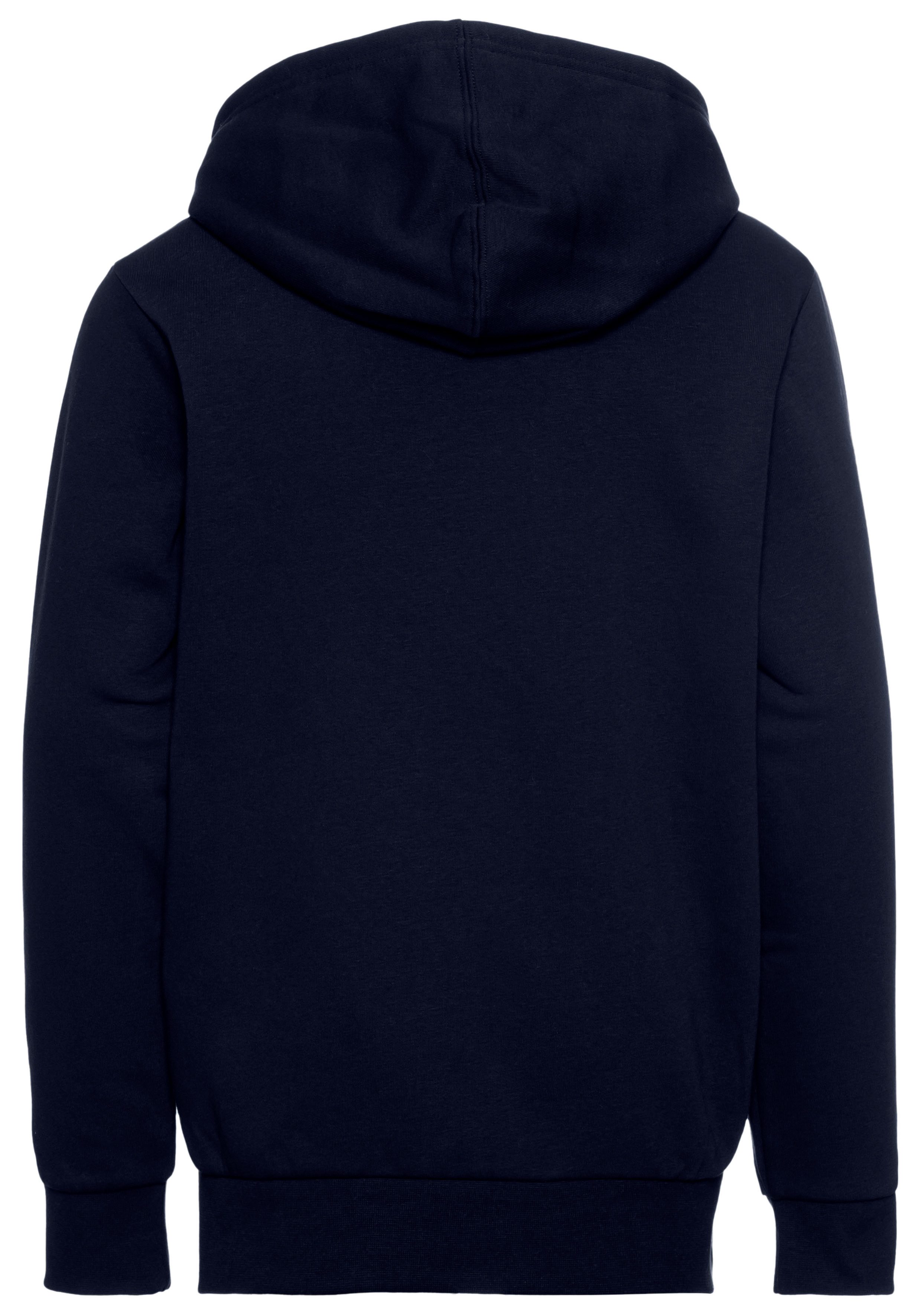 Champion Hoodie HOODED sweatshirt