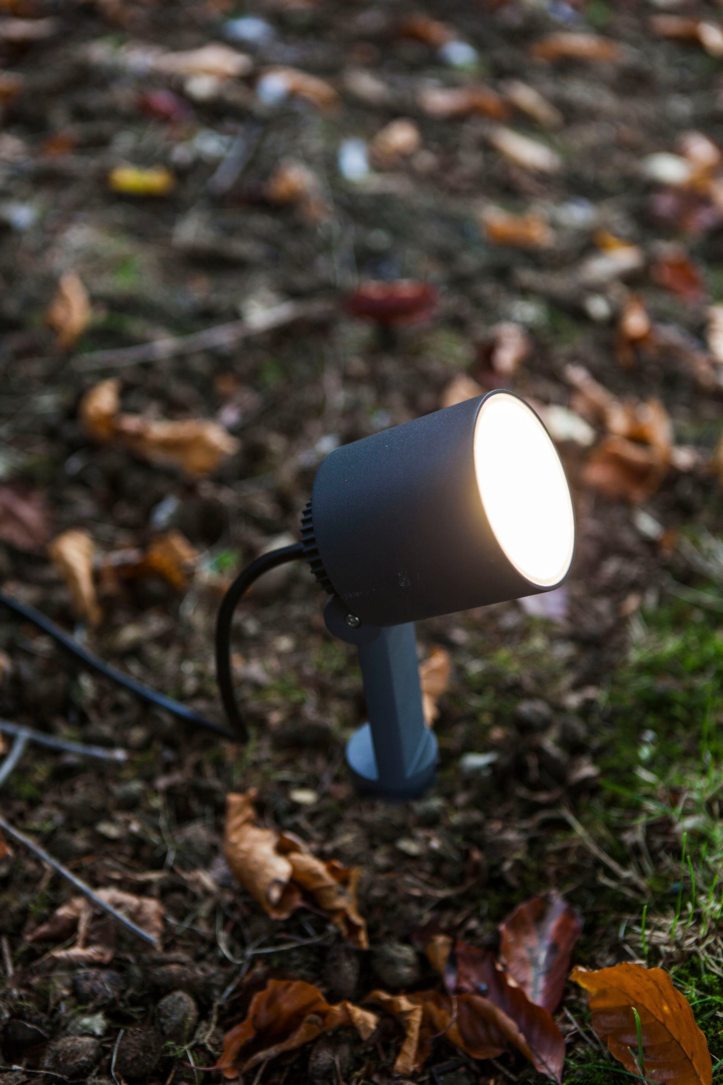LUTEC Ledwandlamp voor buiten Explorer (1 stuk)