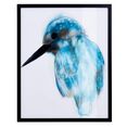 guido maria kretschmer homeliving wanddecoratie ijsvogel met zwarte lijst multicolor