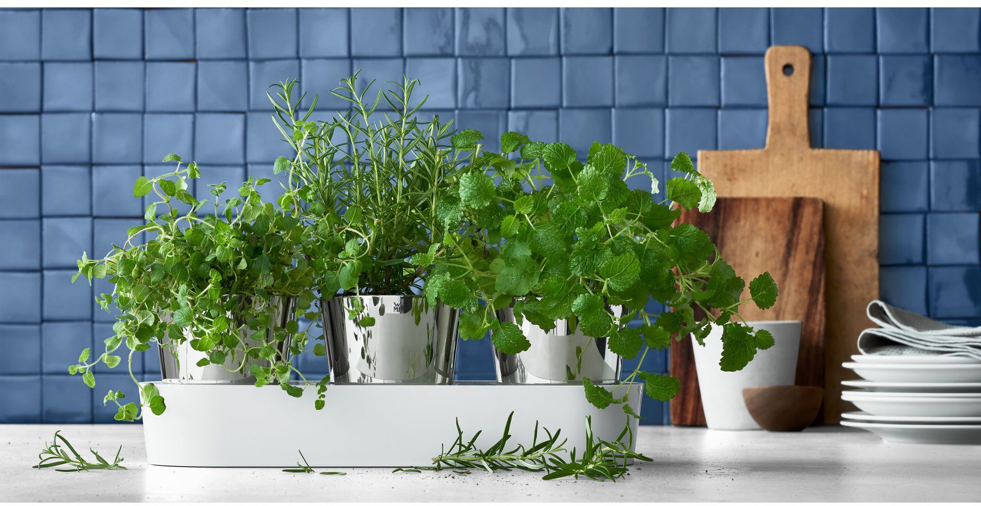 WMF Kruidenpotje met bewateringssysteem, indoor (set, 7-delig)