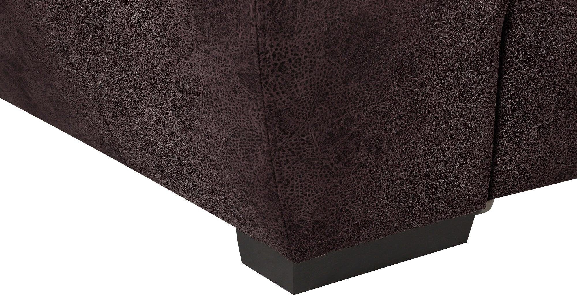 exxpo - sofa fashion Hoekbank Salerno, klassieke moderne functionele bank, hoog zitcomfort, L-vorm inclusief verstelbare hoofdsteun en armleuning, naar keuze met slaapfunctie