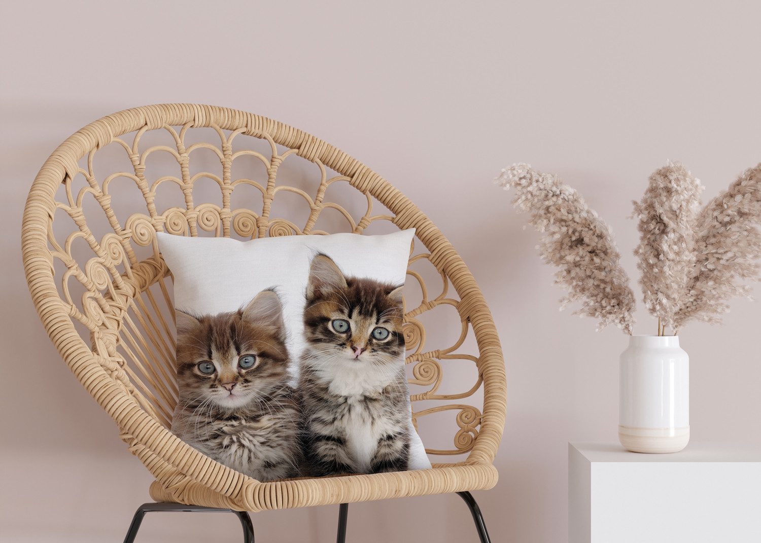 queence Sierkussen Patrick Kussenhoes, katten, dierenmotief, schattig, speels, huisdieren, decoratief (1 stuk)