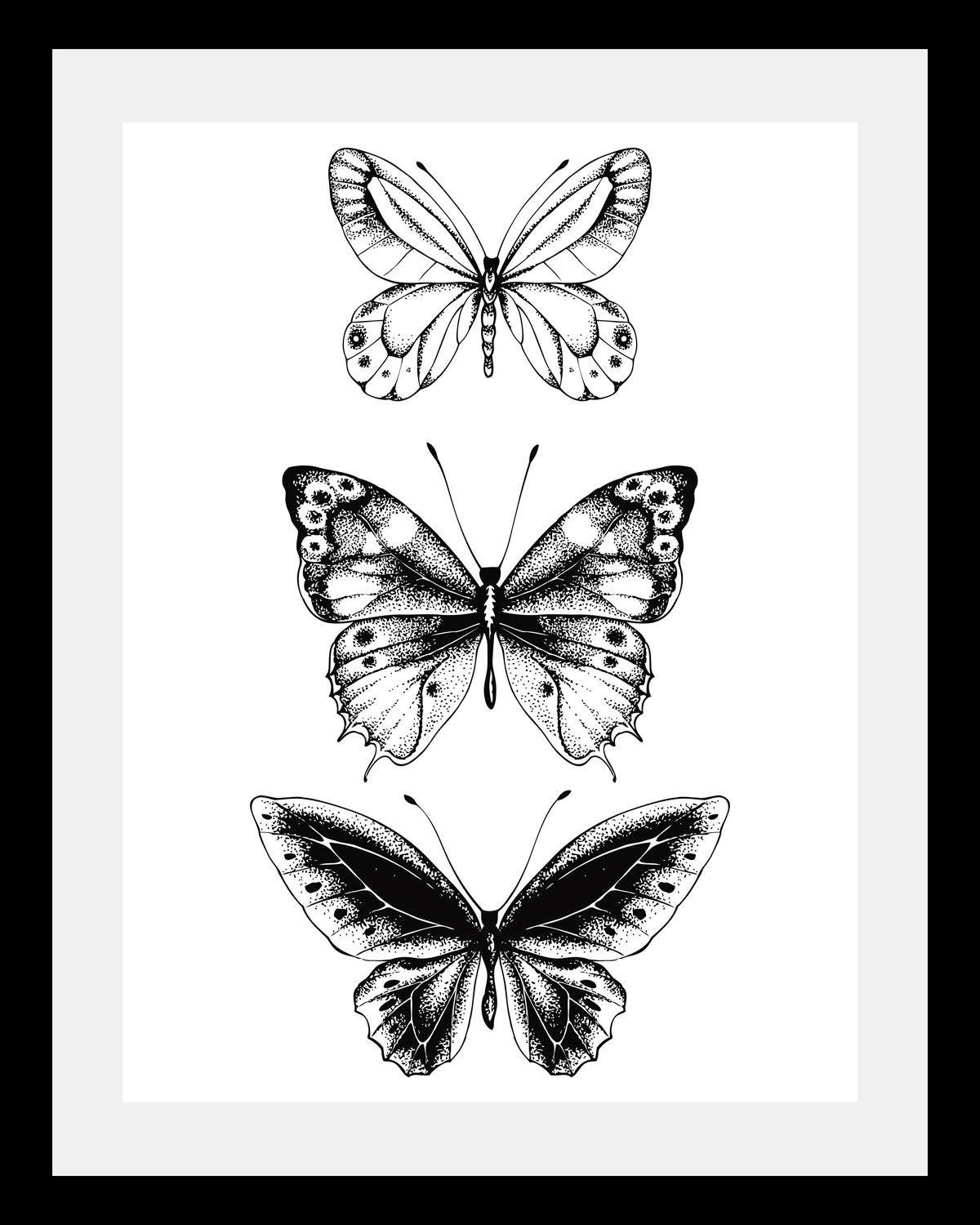 queence Wanddecoratie Vlinders HD premium posterdruk incl. houten lijst schilderijen maat 50 cm x 70 cm x 3 cm zwart