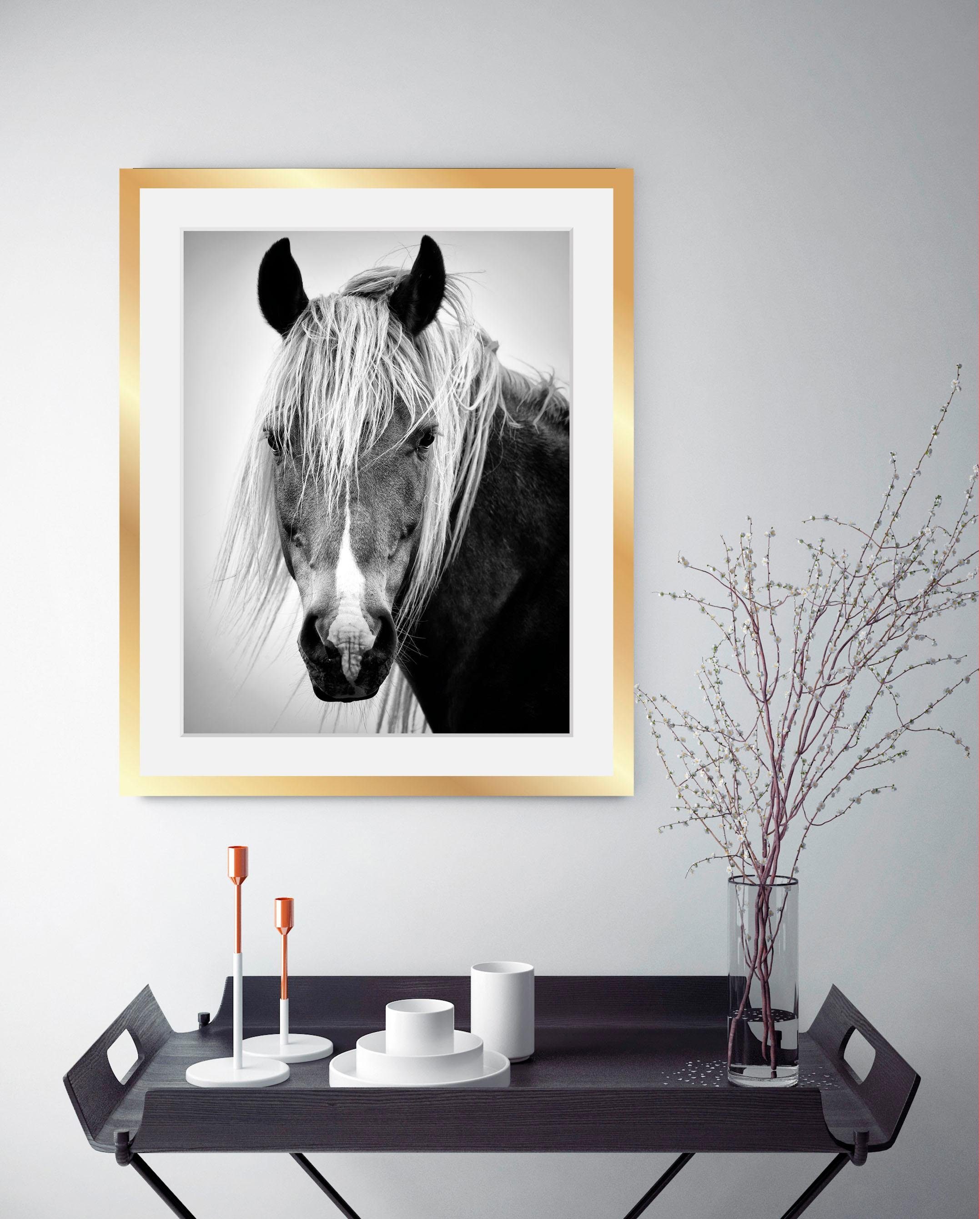 queence Wanddecoratie Paardenkop HD premium posterdruk incl. houten lijst in zwart