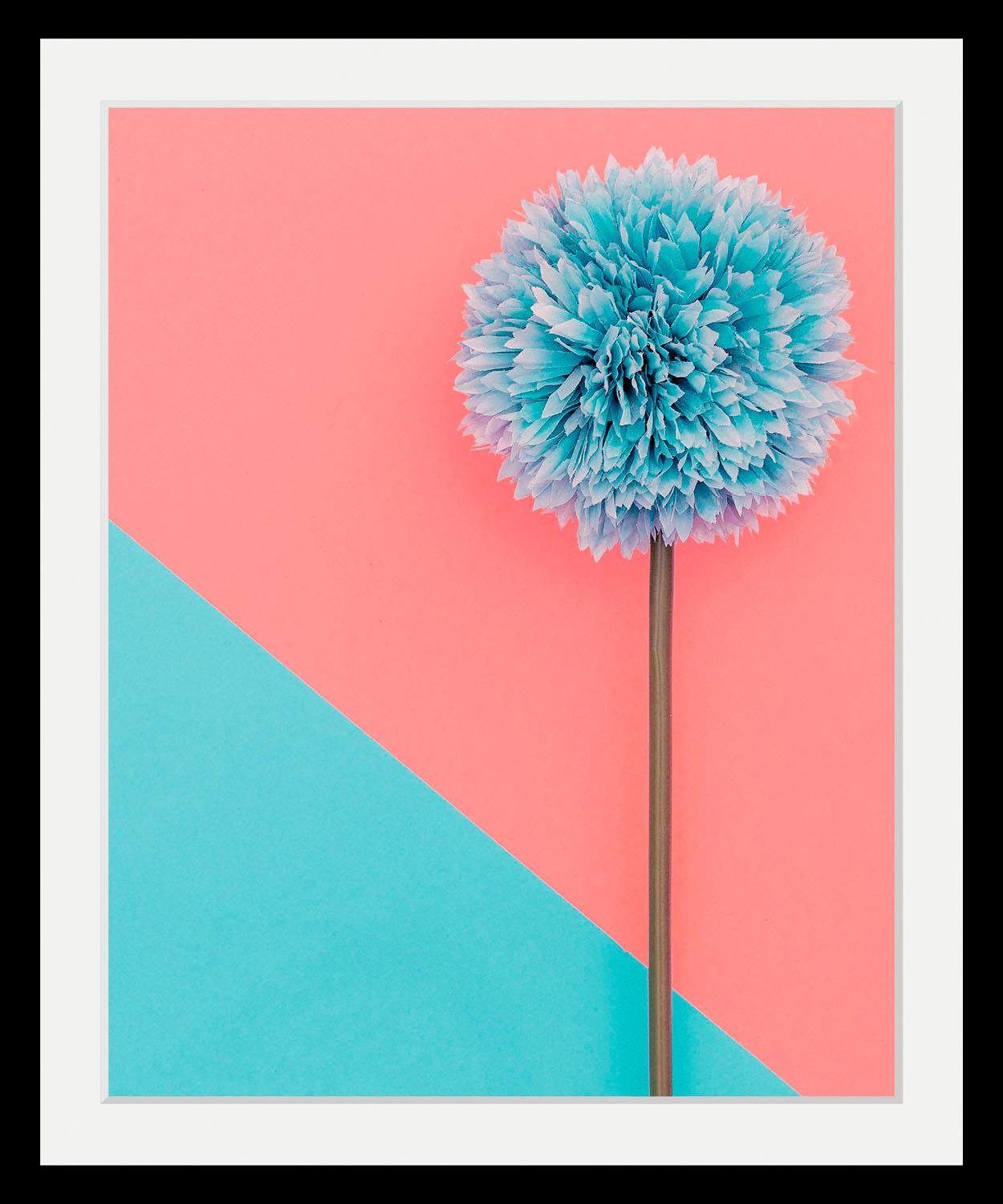 Queence Wanddecoratie Pluizenbol HD premium posterdruk incl. houten lijst