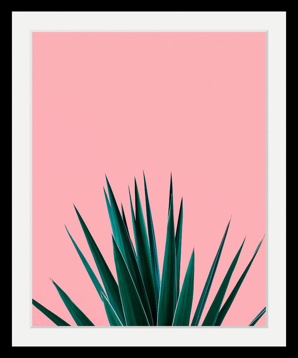 queence Wanddecoratie Palm HD premium posterdruk incl. houten lijst