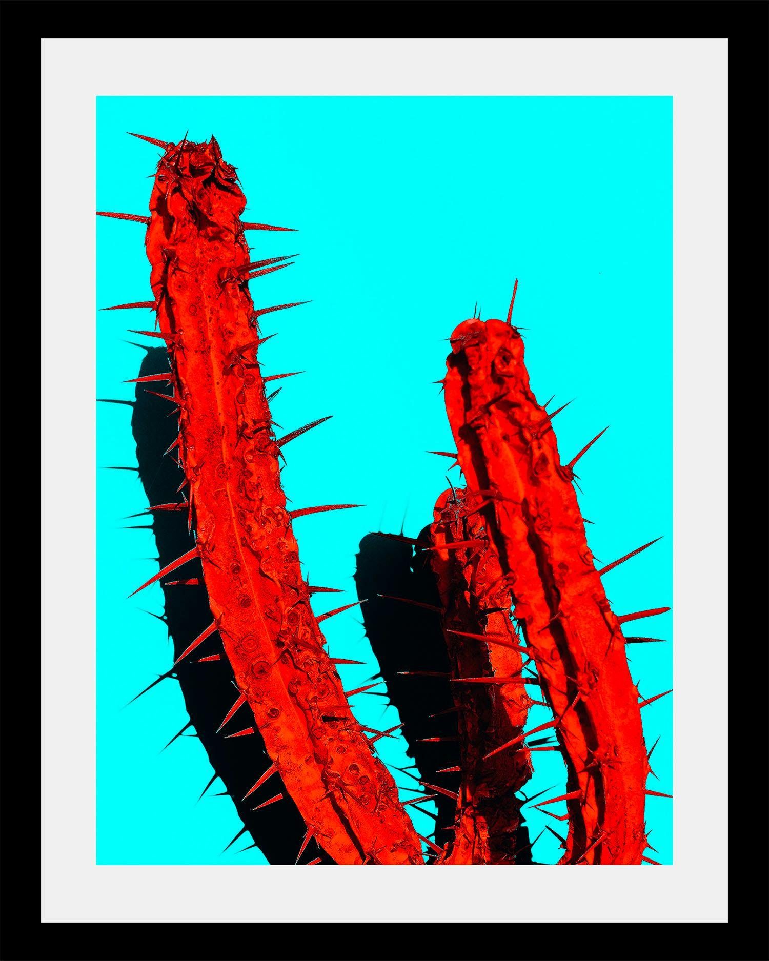 queence Wanddecoratie Cactus in 3 maten, ingelijst