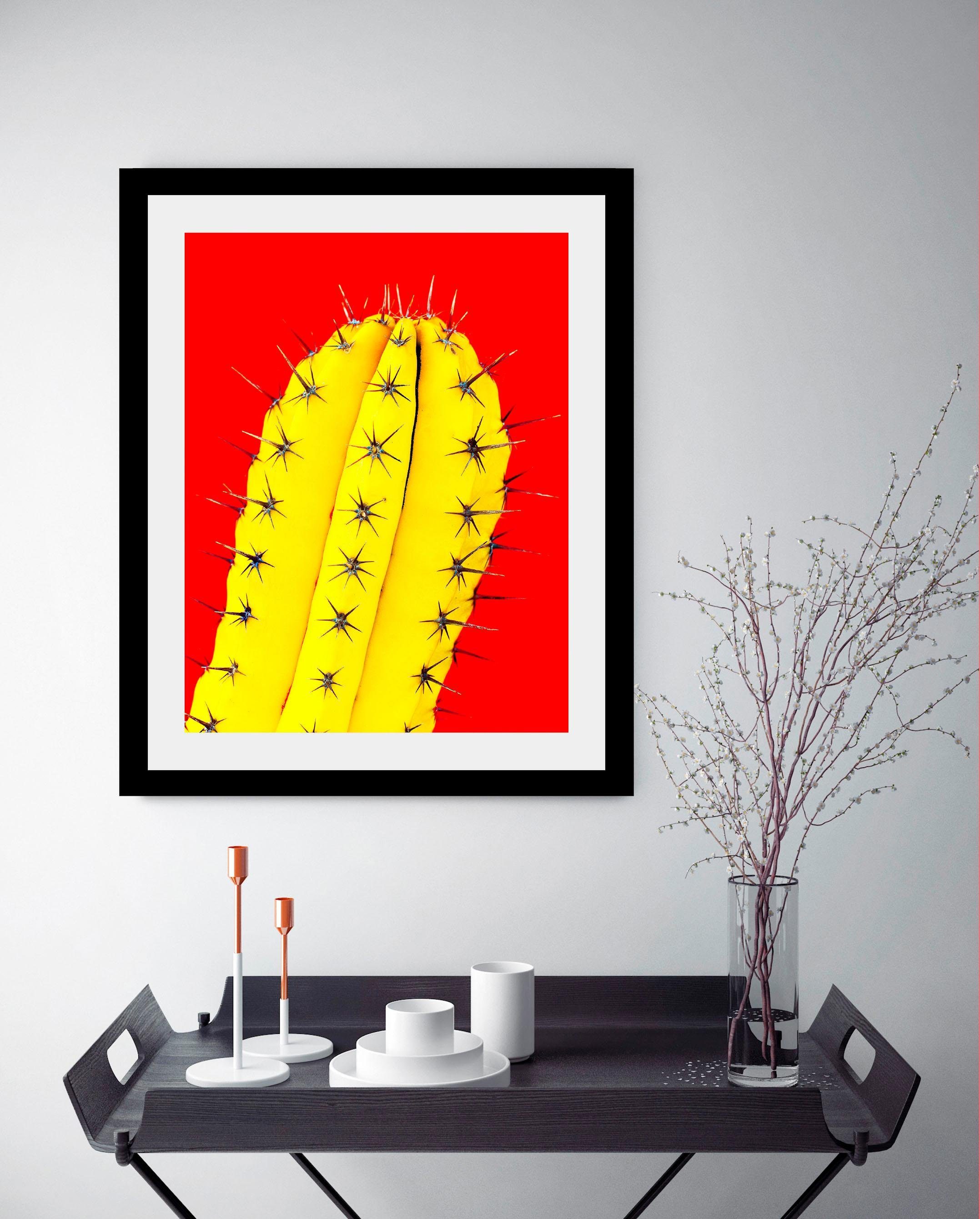 queence Wanddecoratie Cactus HD premium posterdruk incl. houten lijst