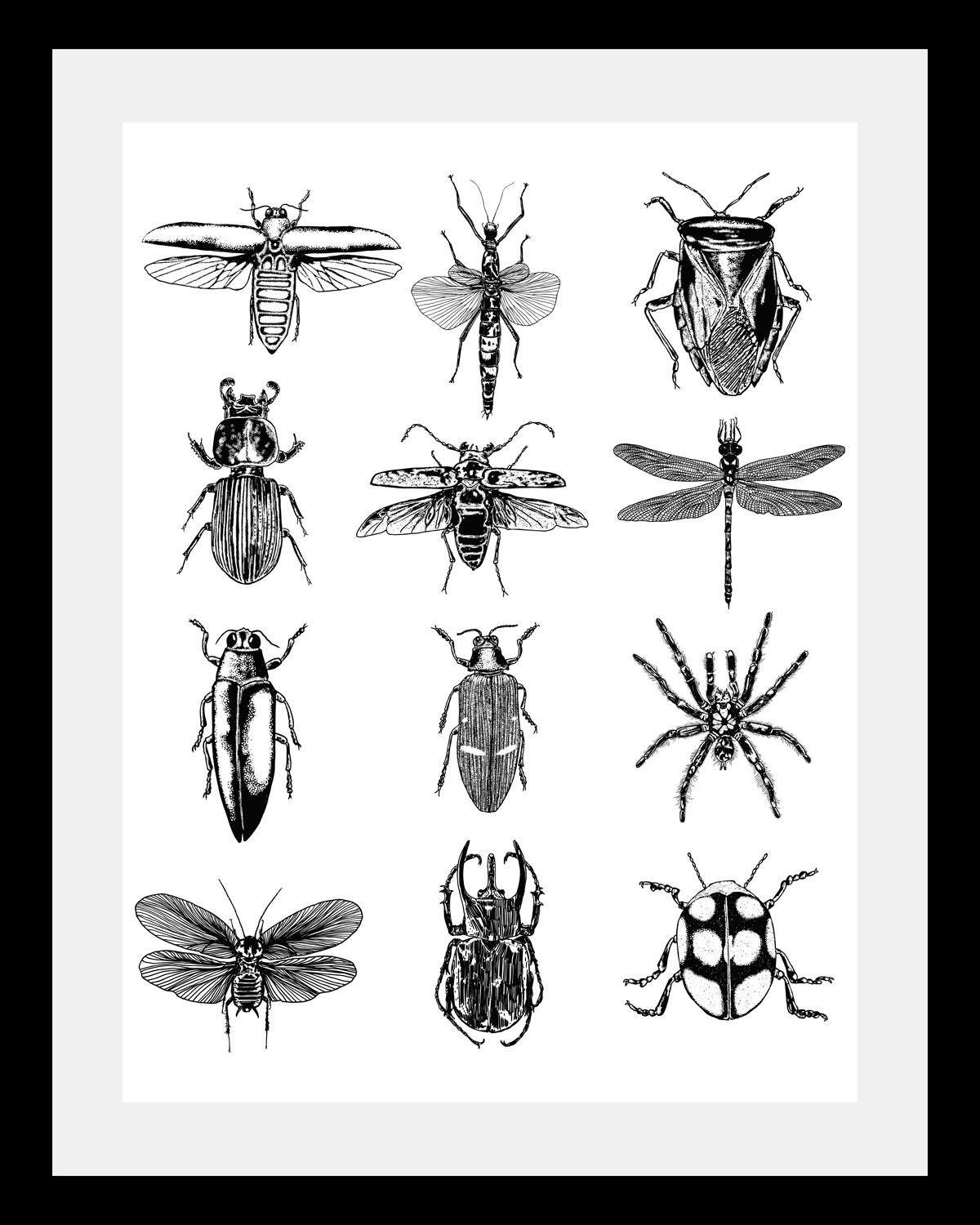 Queence Wanddecoratie Insecten HD premium posterdruk incl. houten lijst