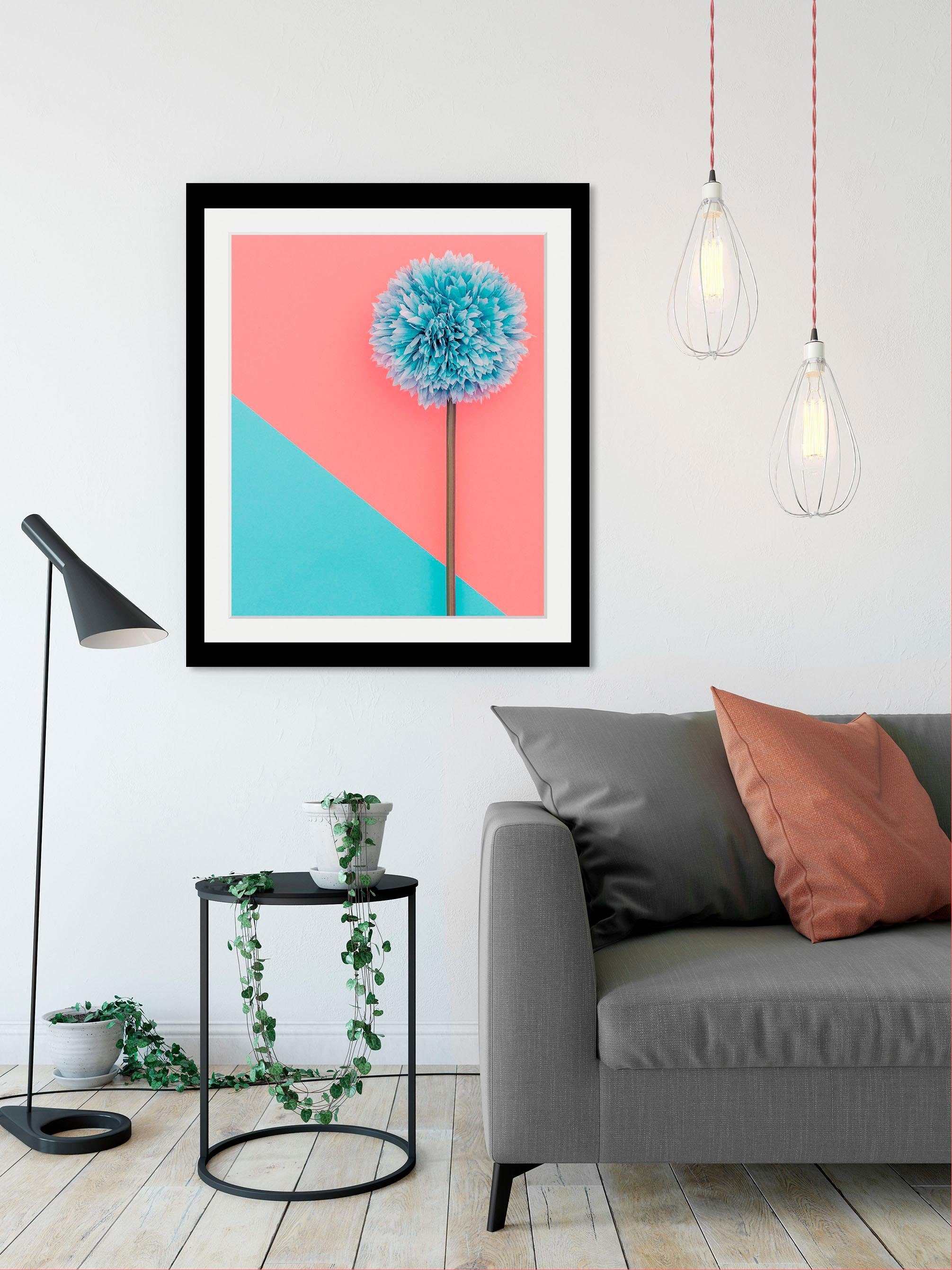 queence Wanddecoratie Pluizenbol HD premium posterdruk incl. houten lijst