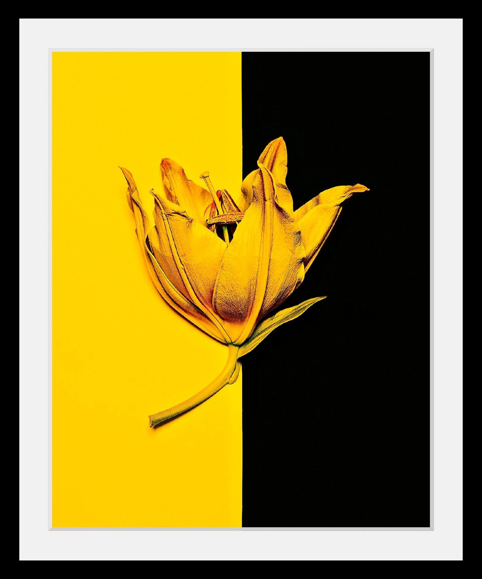 Queence Wanddecoratie Bloem HD premium posterdruk incl. houten lijst