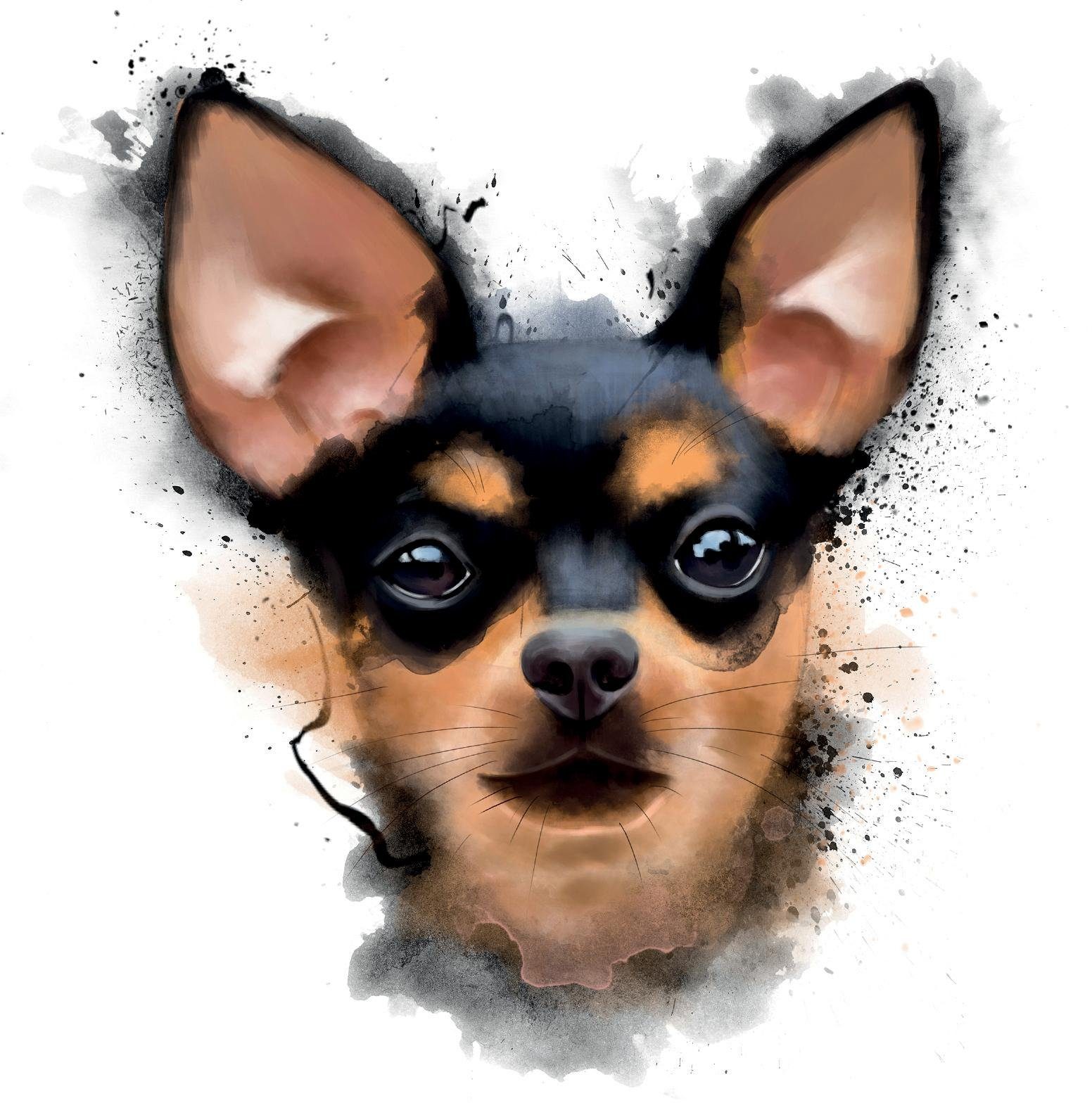 queence Sierkussen Dwergpinscher Kussenovertrek zonder vulling(1 stuk)